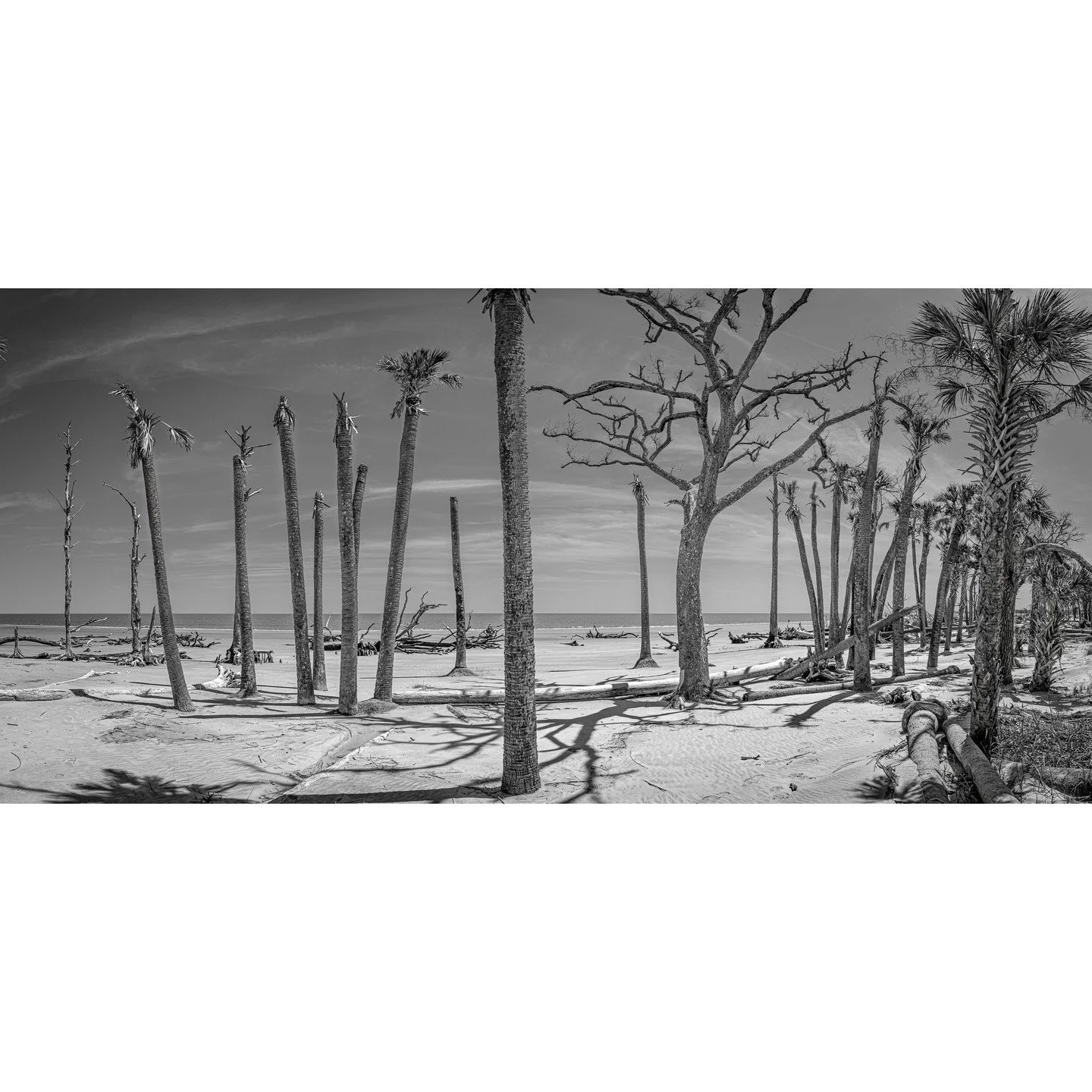 Teake Zuidema, &quot;March of the Decapitated.&quot; Archival pigment print, 21 x 44.5 inches.⁠
⁠
@teakezuidema⁠
⁠
On Display in &quot;Living on the Edge,&quot; A Solo Exhibition by Teake Zuidema in The Ellis Gallery through October 18th, 2025. ⁠
⁠
G