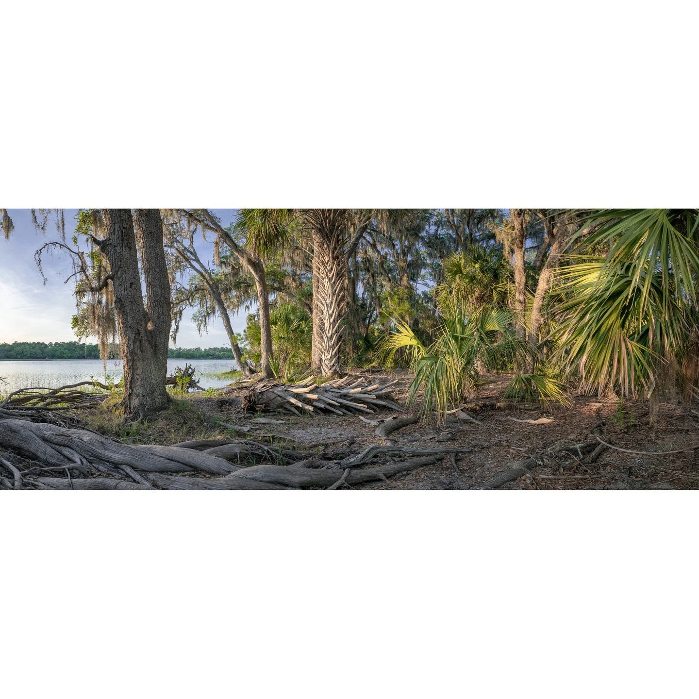 Teake Zuidema, &quot;Fallen Hero.&quot; Archival pigment print, 21 x 52 inches.⁠
⁠
@teakezuidema⁠
⁠
On Display in &quot;Living on the Edge,&quot; A Solo Exhibition by Teake Zuidema in The Ellis Gallery through October 18th, 2025. ⁠
⁠
Gallery Hours: T