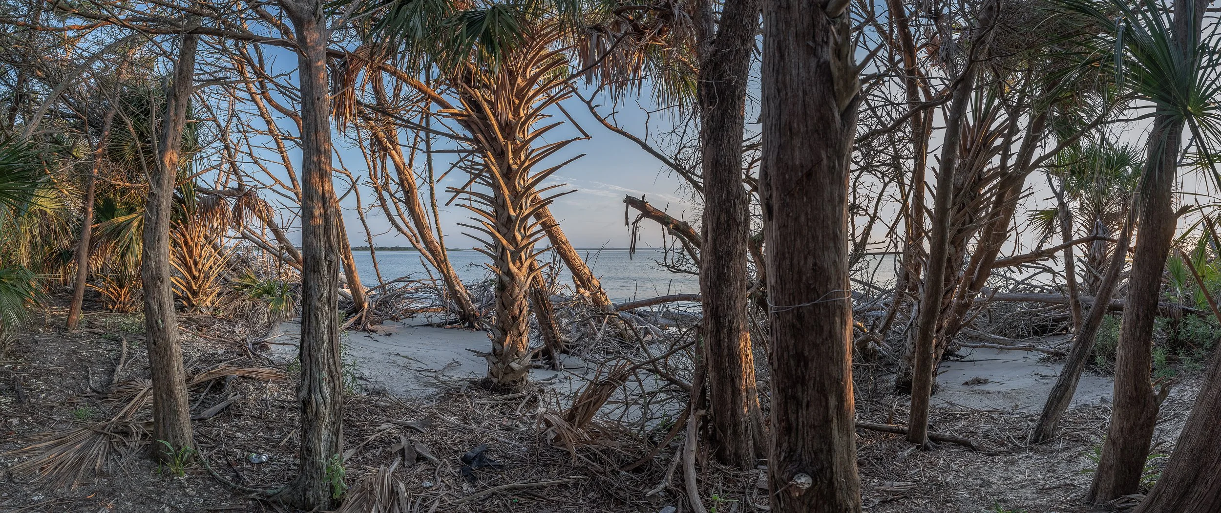    First Light   (2021) Savannah River, GA. Archival pigment print, Edition 1/5. 21 x 51 inches. $1,850 framed, $1,550 unframed 