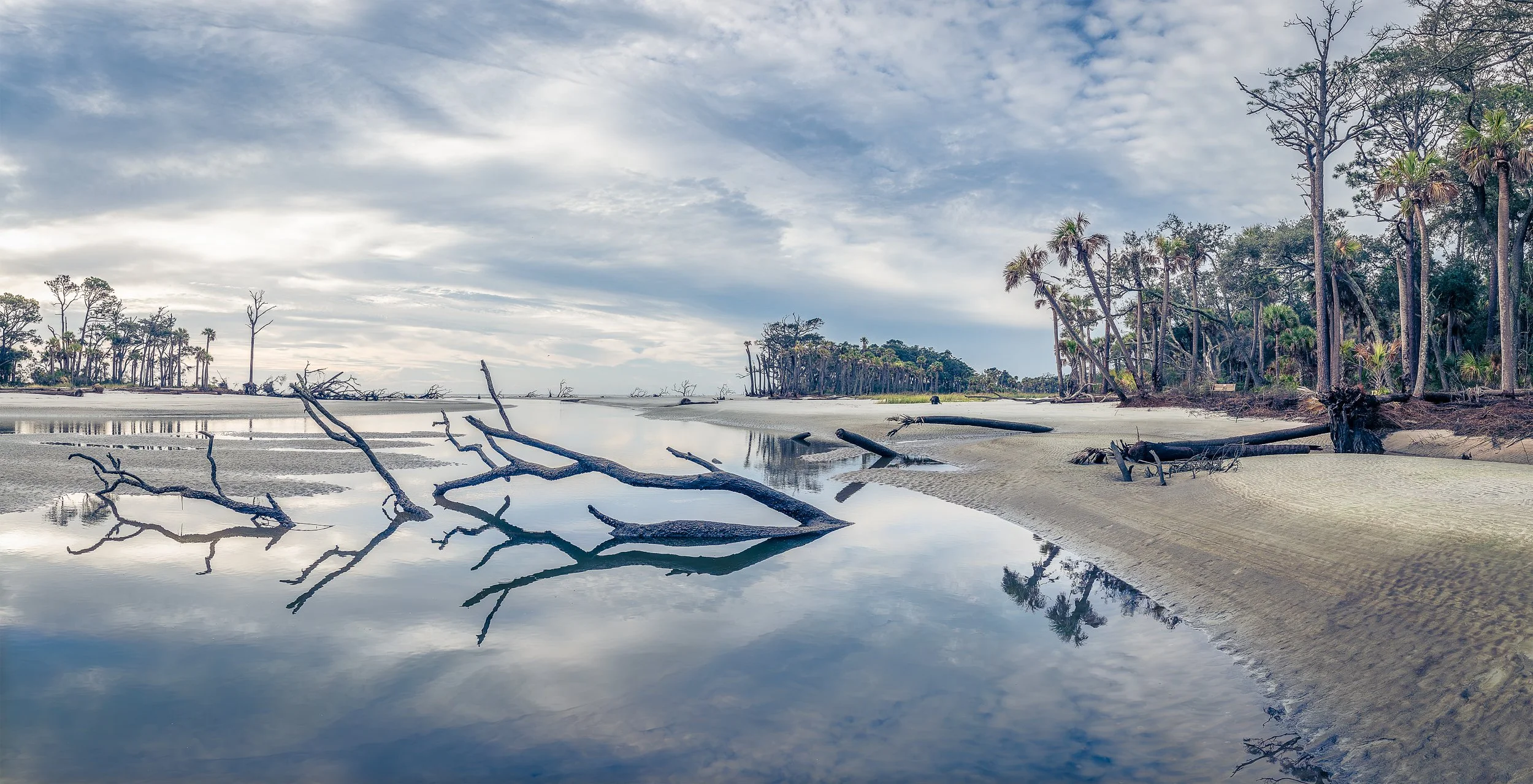    The Creek Came   (2023) Hunting Island, SC. Archival pigment print, Edition 1/5. 21 x 41 inches. $1,700 framed, $1,400 unframed 