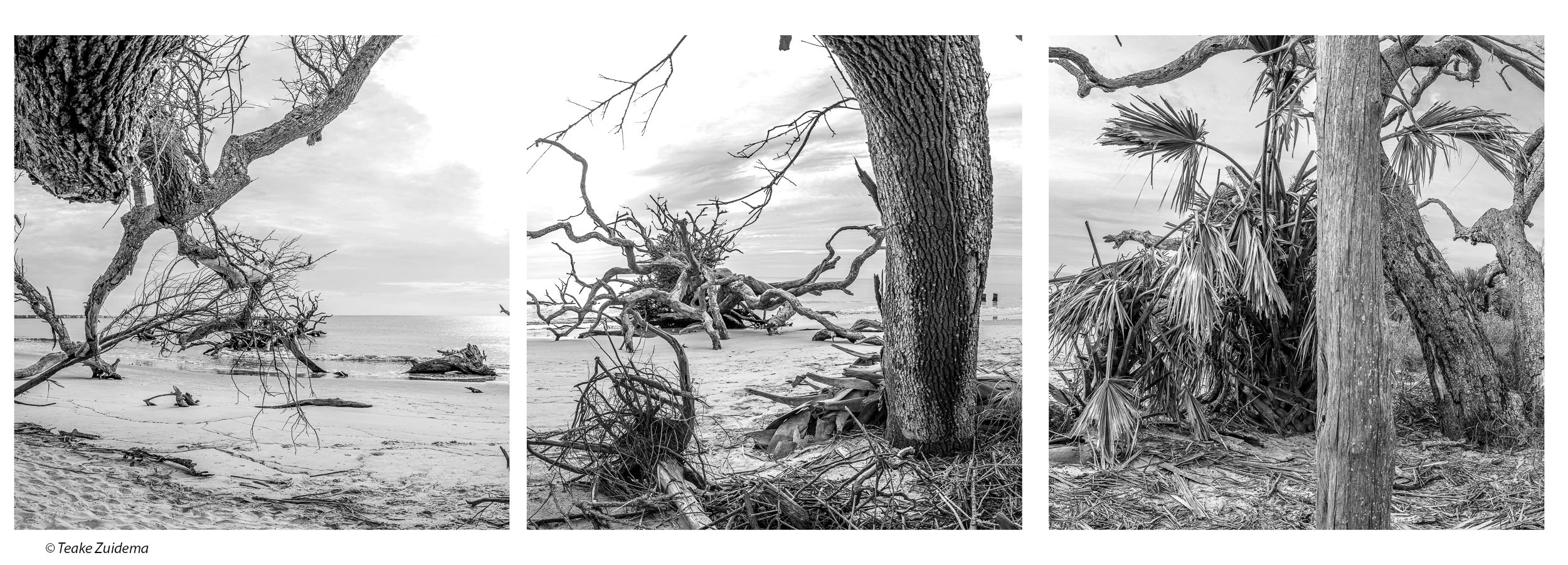    Desolation Row Triptych   (2025) Jekyll Island, GA. Archival pigment print, Edition 1/5. 18.5 x 47 inches. $2,000 framed 