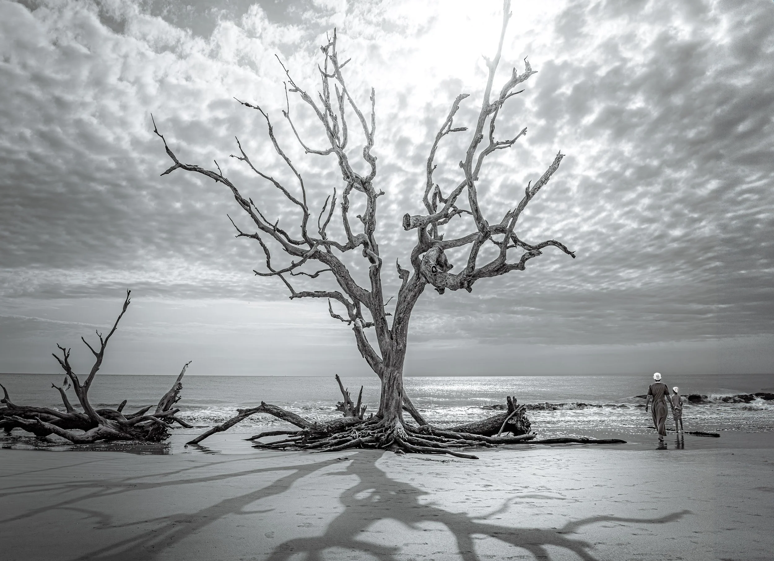  Heaven’s Gate (2021) Jekyll Island, GA, Archival pigment print, Edition 1/10. 17 x 22 inches. $900 framed, $750 unframed 