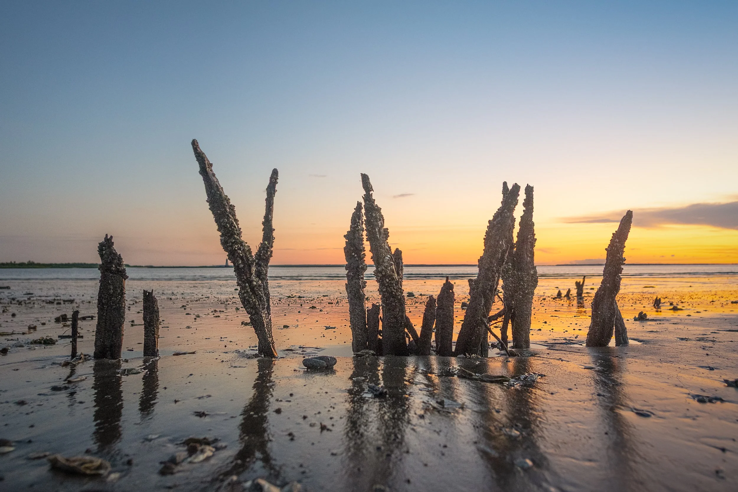    Entropy 3   (2025) Savannah River at Tybee. Archival pigment print, Edition 1/10. 17 x 22 inches. $900 framed, $750 unframed 