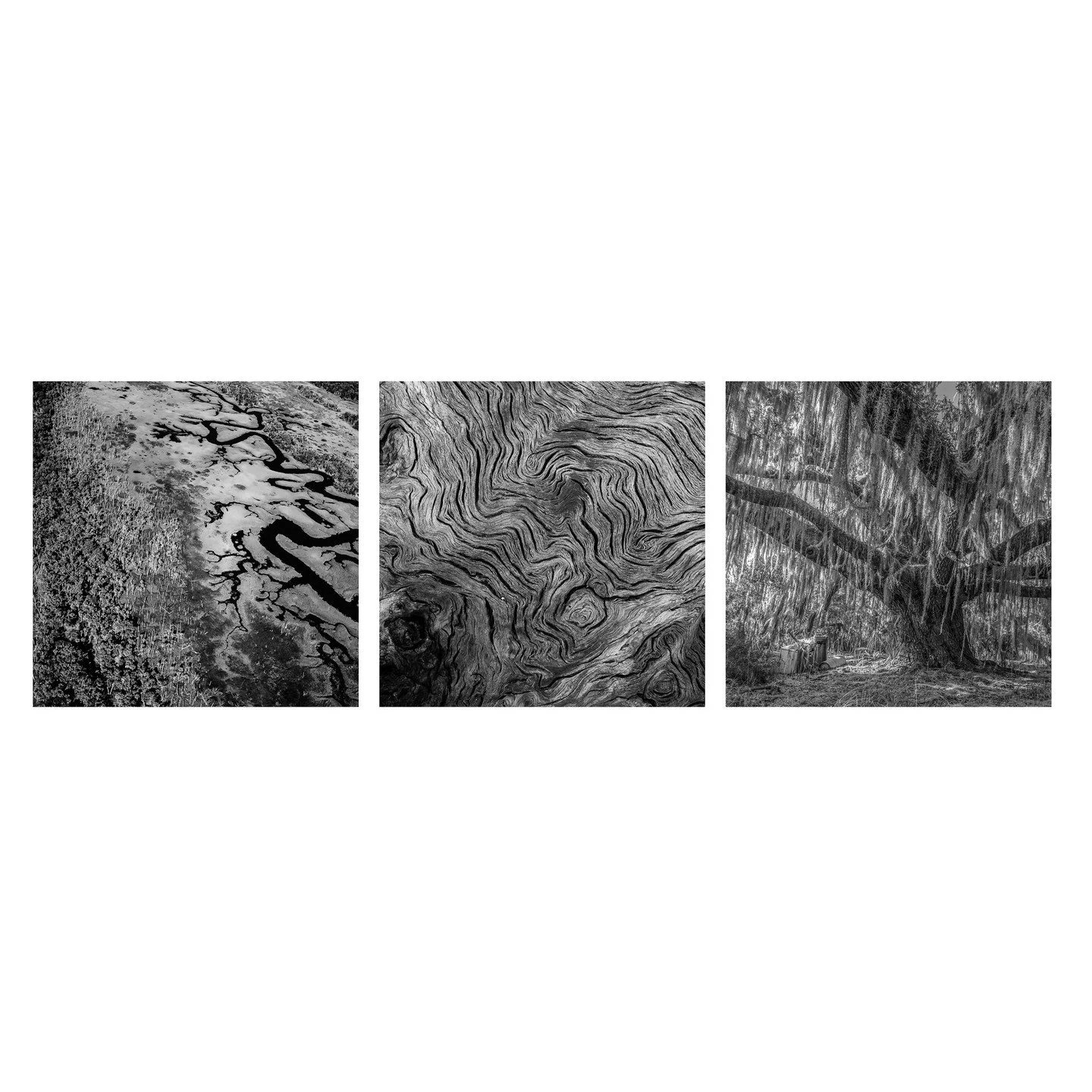 Teake Zuidema, &quot;Ossabaw Triptych.&quot; Archival pigment print, 18.5 x 47 inches.⁠
⁠
@teakezuidema⁠
⁠
On Display in &quot;Living on the Edge,&quot; A Solo Exhibition by Teake Zuidema in The Ellis Gallery through October 18th, 2025. ⁠
⁠
Gallery H