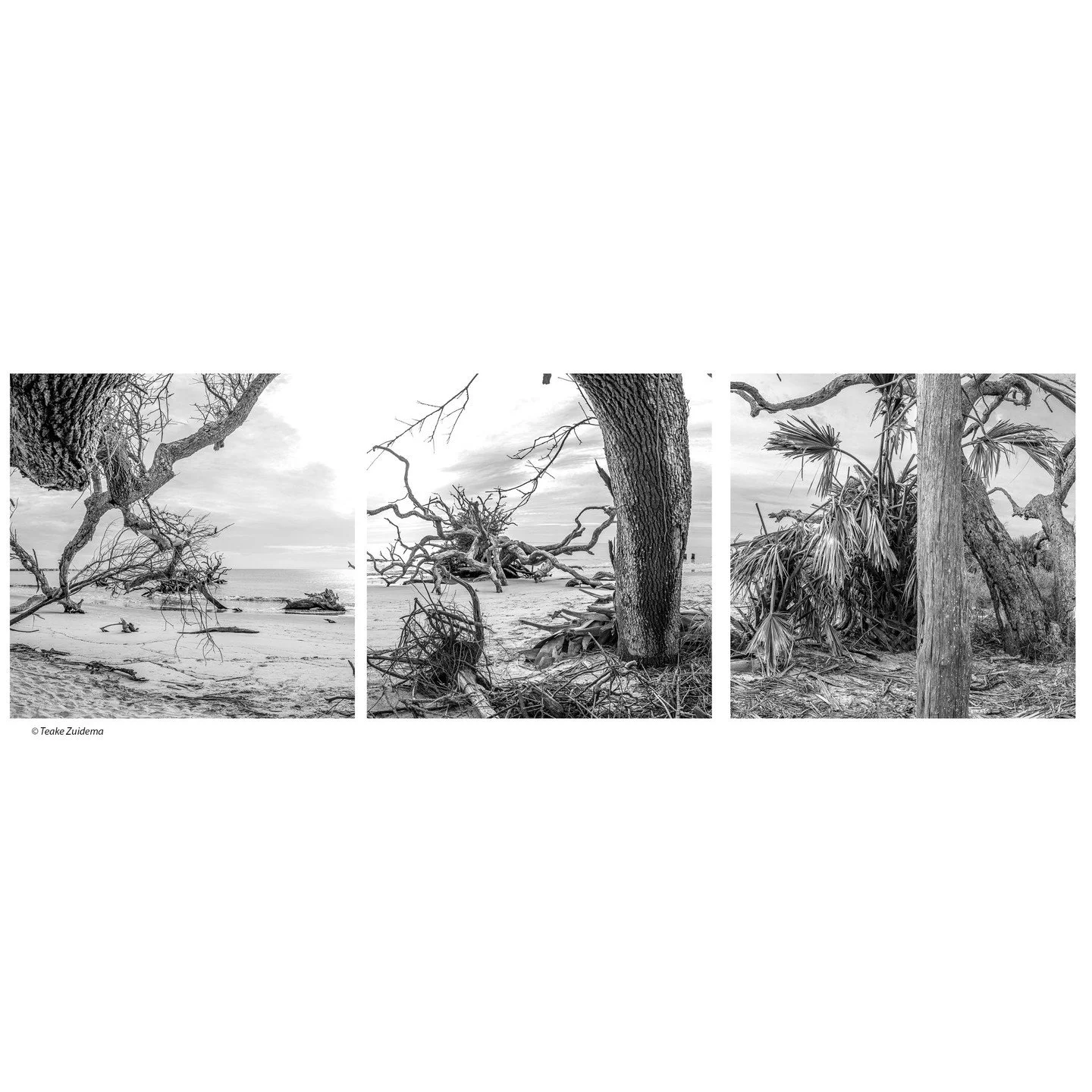 Teake Zuidema, &quot;Desolation Row Triptych.&quot; Archival pigment print, 18.5 x 47 inches.⁠
⁠
@teakezuidema⁠
⁠
On Display in &quot;Living on the Edge,&quot; A Solo Exhibition by Teake Zuidema in The Ellis Gallery through October 18th, 2025. ⁠
⁠
Ga