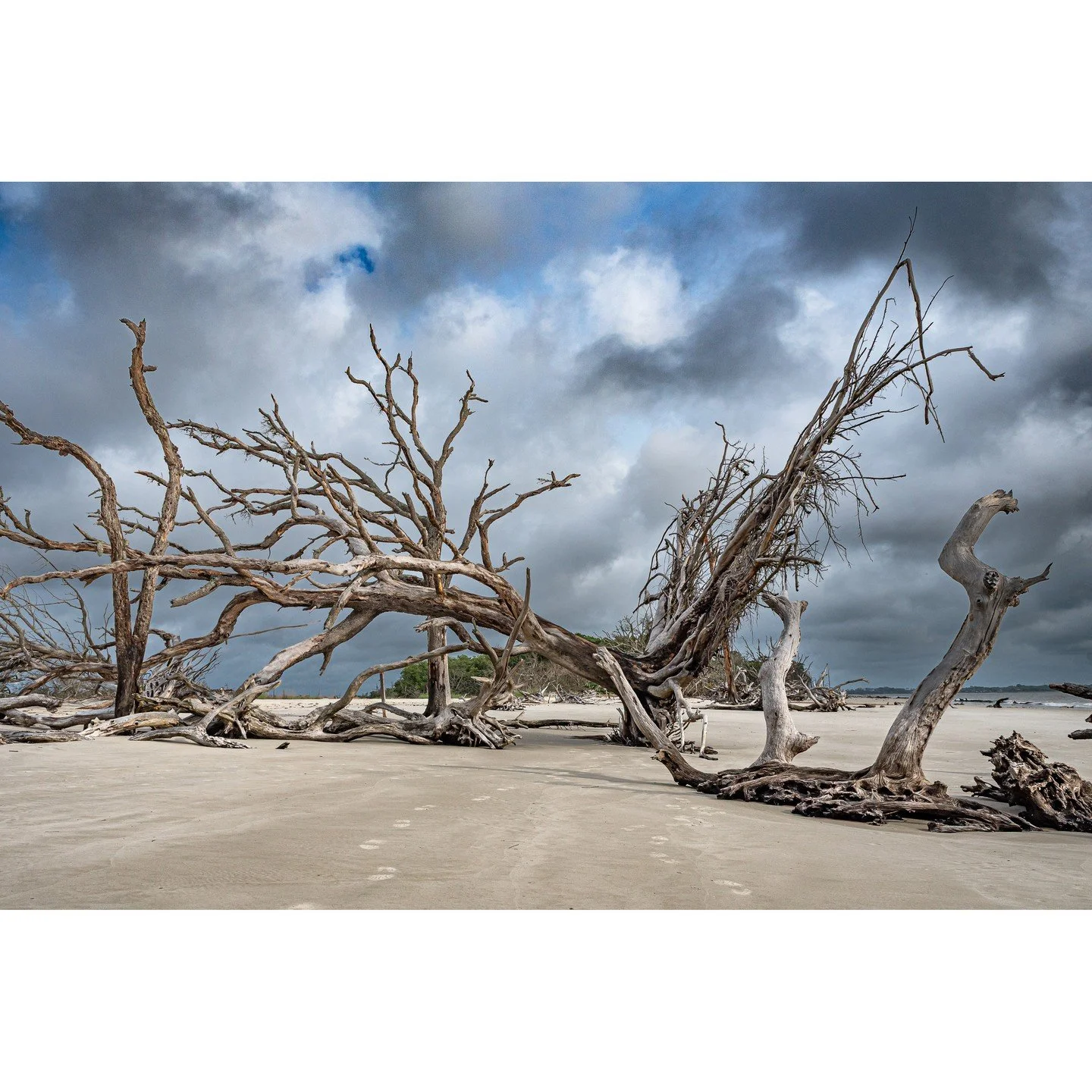 Teake Zuidema, &quot;Entropy 2.&quot; Archival pigment print, 17 x 22 inches.⁠
⁠
@teakezuidema⁠
⁠
FINAL DAYS! On Display in &quot;Living on the Edge,&quot; A Solo Exhibition by Teake Zuidema in The Ellis Gallery through October 18th, 2025. ⁠
⁠
Galler