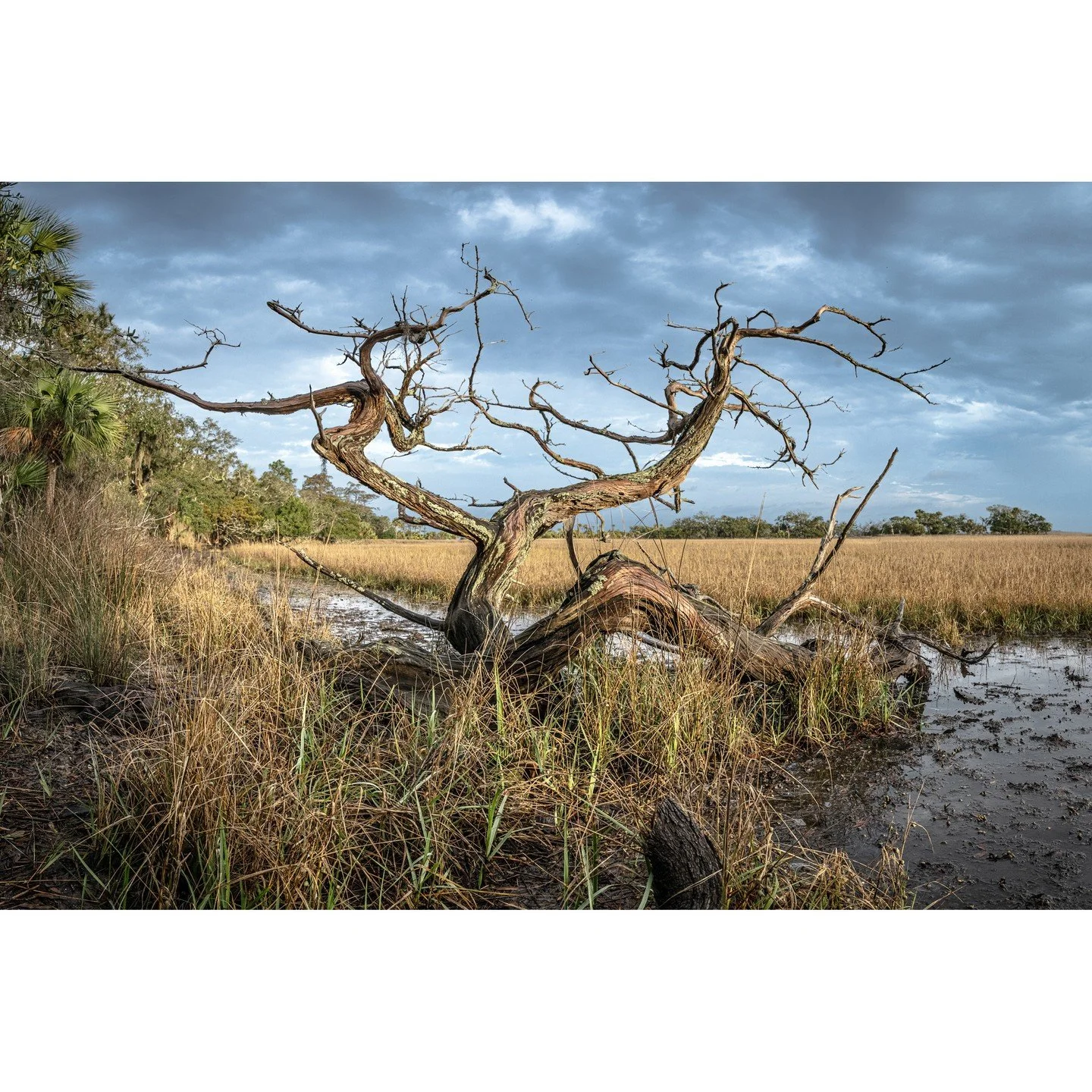 Teake Zuidema, &quot;Entropy 4.&quot; Archival pigment print, 17 x 22 inches.⁠
⁠
@teakezuidema⁠
⁠
FINAL DAYS! On Display in &quot;Living on the Edge,&quot; A Solo Exhibition by Teake Zuidema in The Ellis Gallery through October 18th, 2025. ⁠
⁠
Galler