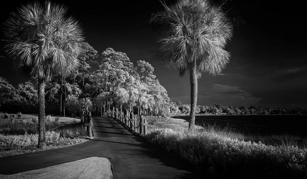  Marilyn Brady, “Path by Moonlight,” 2024. Infrared photogray, 18.5 × 24.5 inches.  