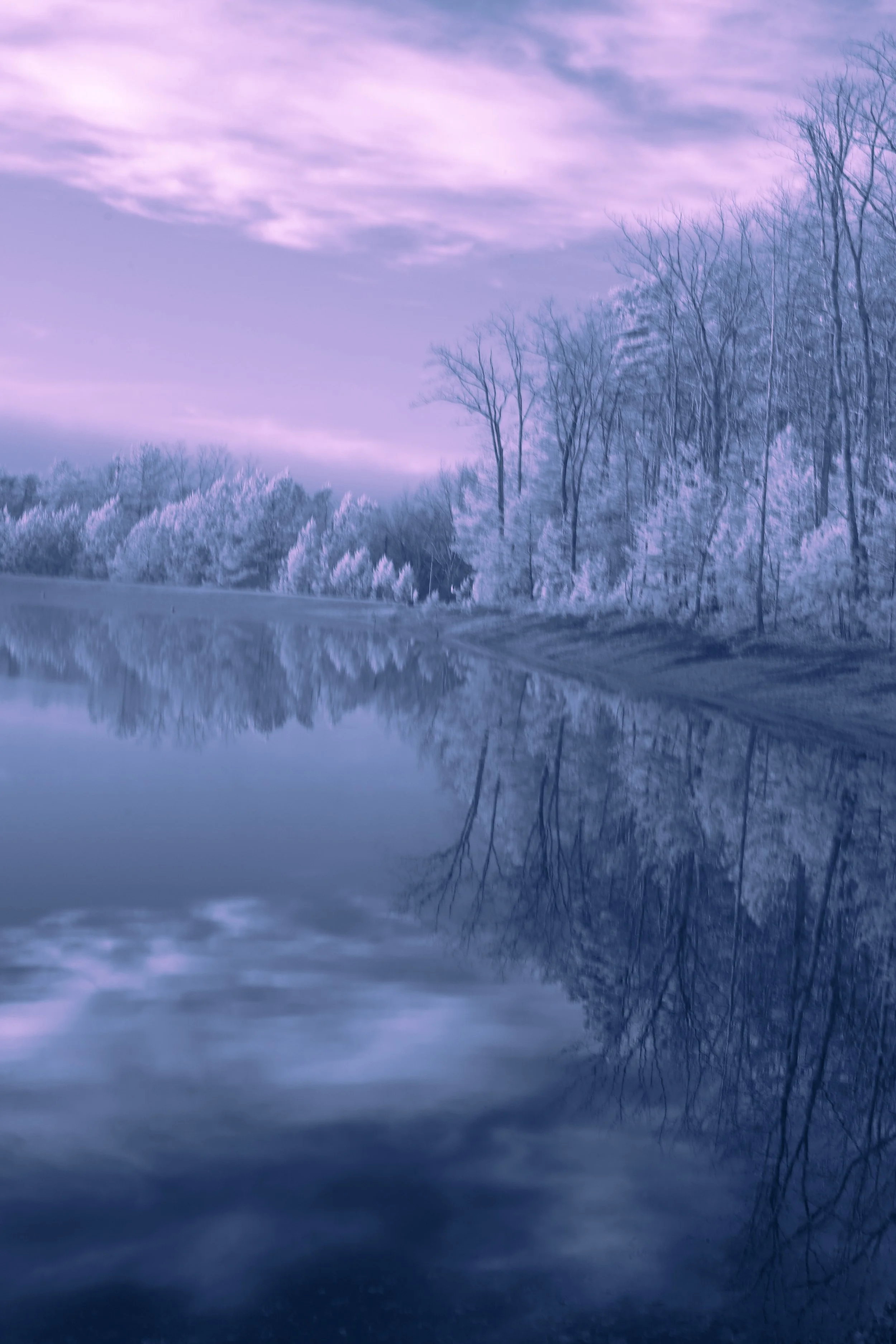  Marilyn Brady, “Peaceful,” 2025. Infrared photography, 8 × 12 inches.  