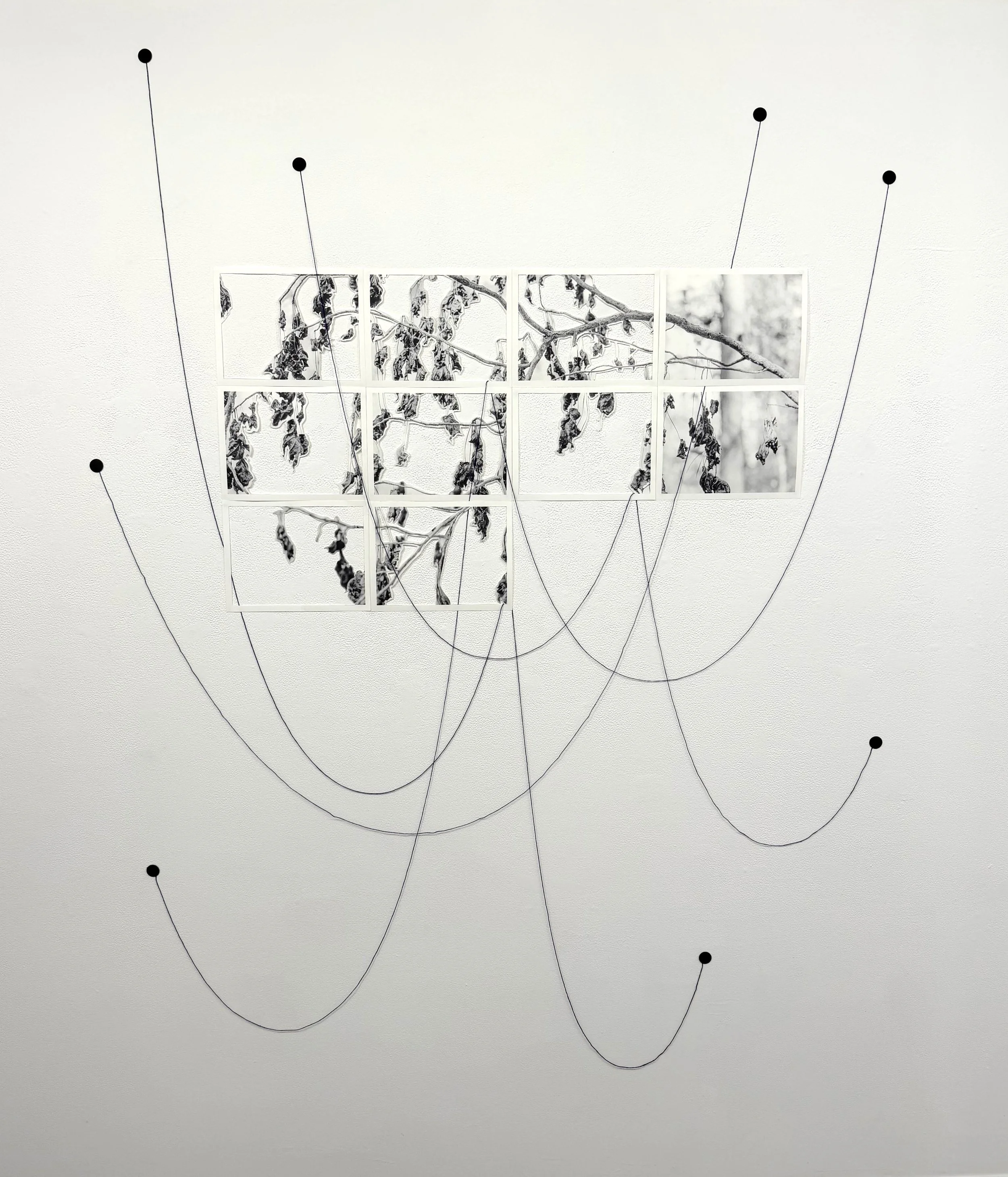  Davion Alston, “Cut from The Same Cloth,” 2024 - 2025. 10 Inkjet prints on 8.5 x 11 inch archival matte paper, indigo thread, approx. 56 × 76 inches, dimensions variable. 