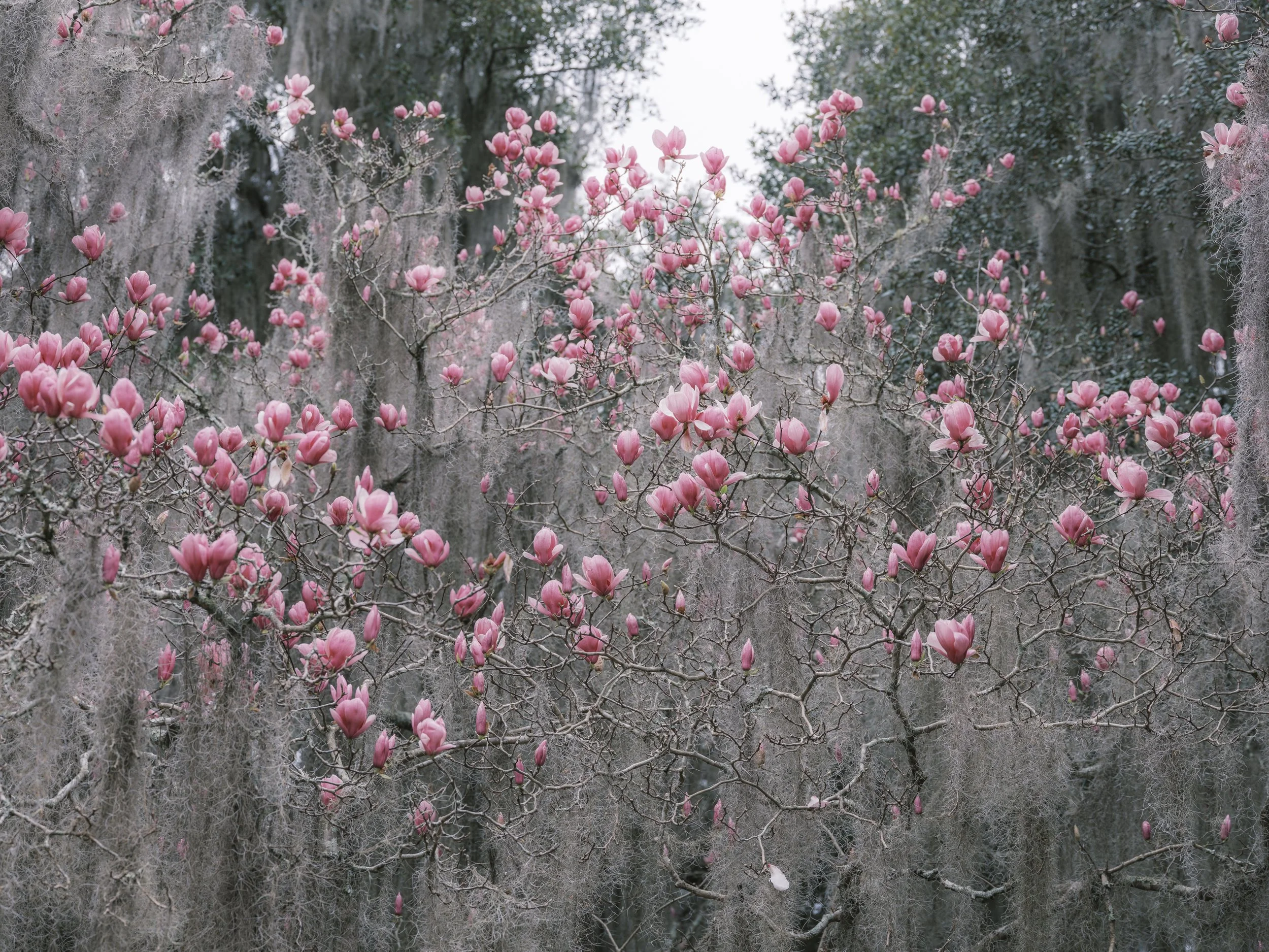 Photo by Parker Stewart