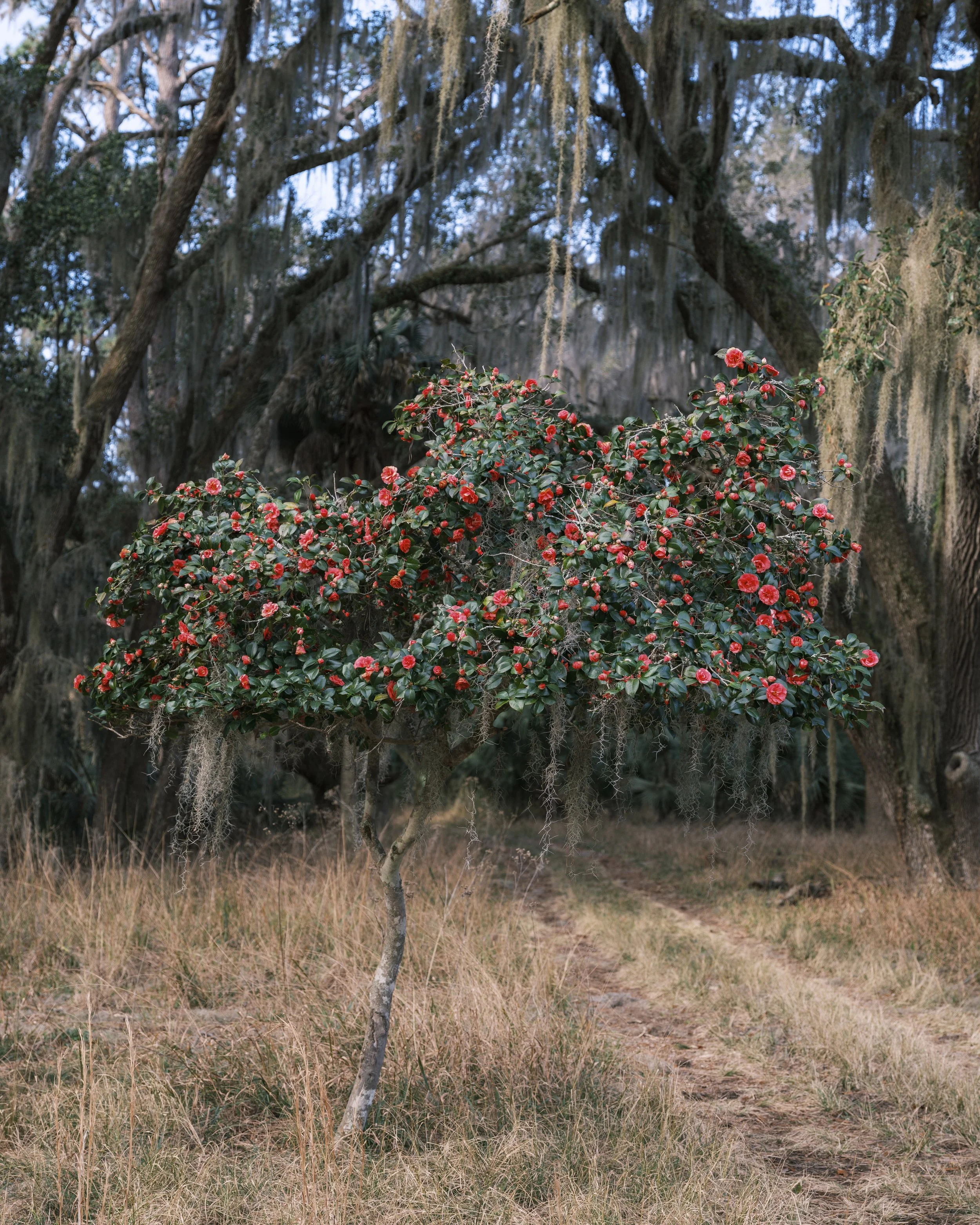 Photo by Parker Stewart