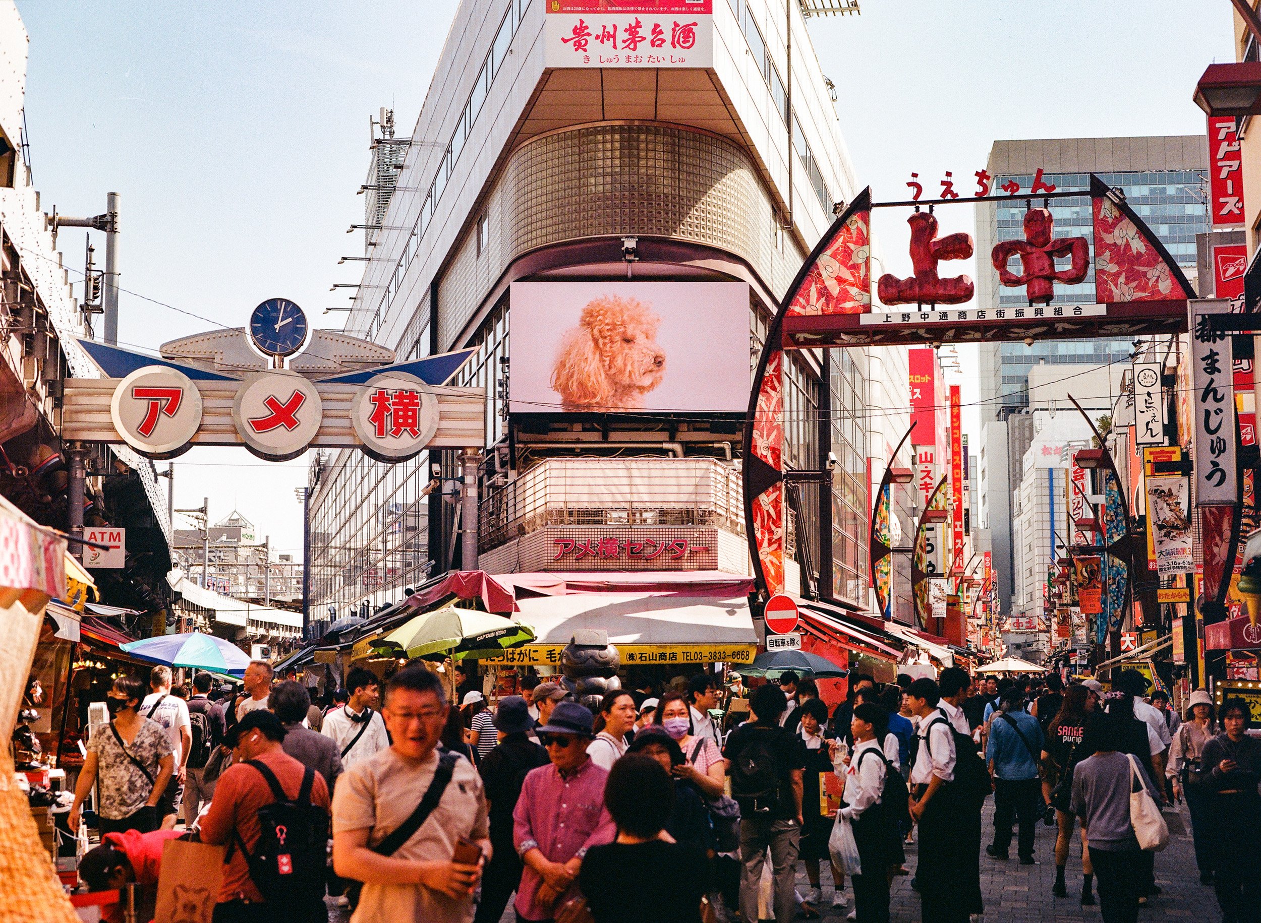 nathaniel_thompson - street.jpg