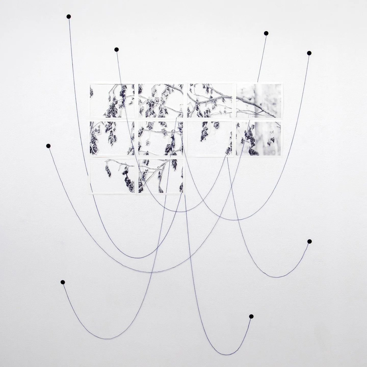 Davion Alston, &ldquo;Cut from The Same Cloth,&rdquo; 2024 - 2025. 10 Inkjet prints on 8.5 x 11 inch archival matte paper, indigo thread, approx. 56 &times; 76 inches, dimensions variable.⁠
⁠
@davionalston⁠
⁠
On Display in &ldquo;ON::VIEW REVUE,&rdqu