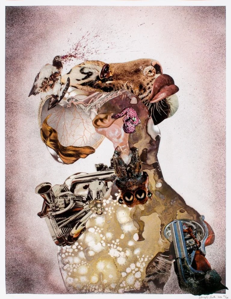 SCAD Museum of Art : Group exhibition : "Personified" 