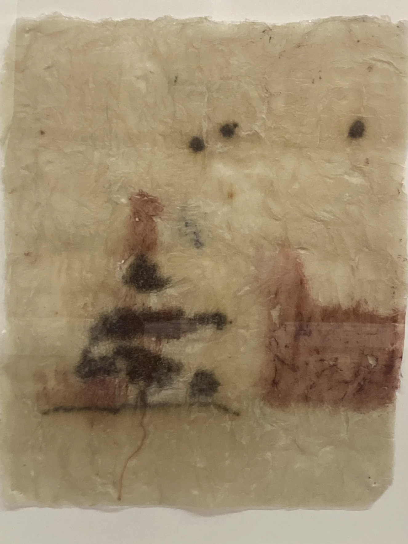    velodrome   (2003) Fiberglass, pigment, thread, caviar, 19 × 15 inches.  Courtesy of Nigel and Kristin Law  