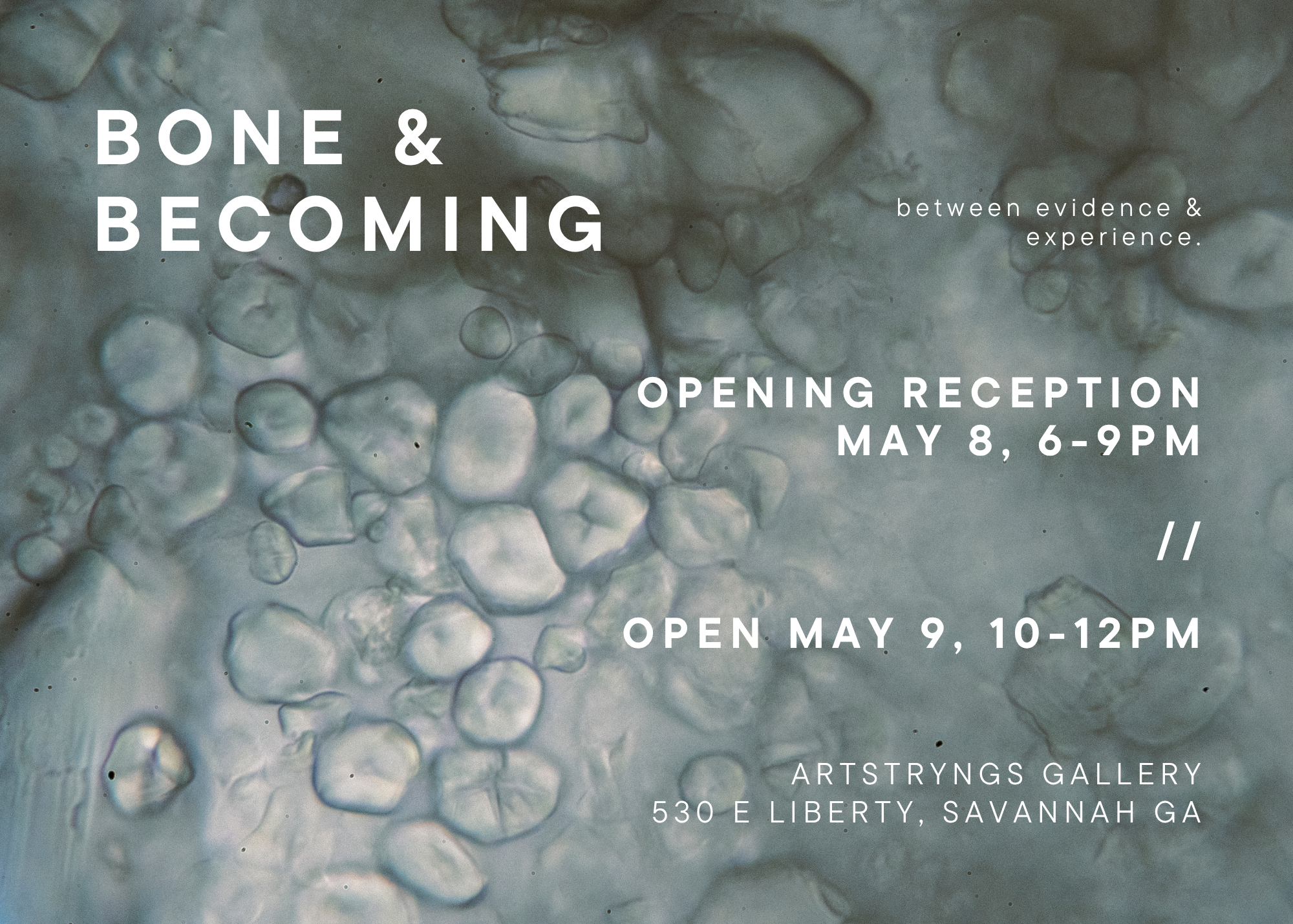 ArtStryngs: Grace Kusek: "Bone &amp; Becoming: Between Evidence &amp; Experience" 