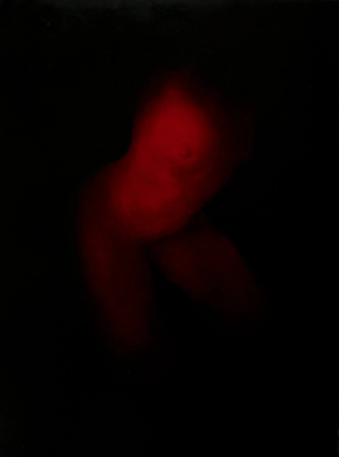  Livia Shuman,   Poppy #1   (2026) Oil, 30 x 40 inches 