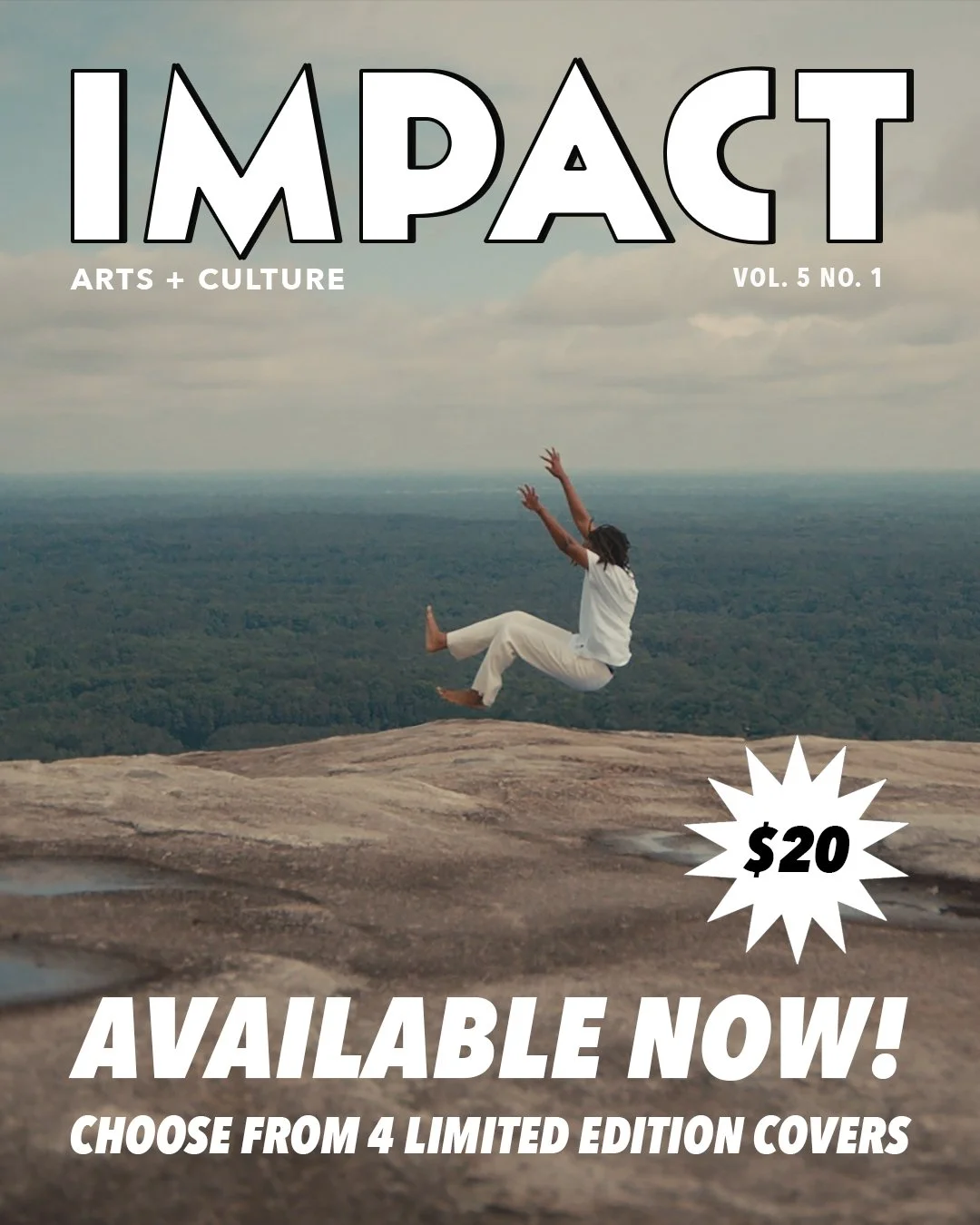 IMPACT Poster 01.jpg