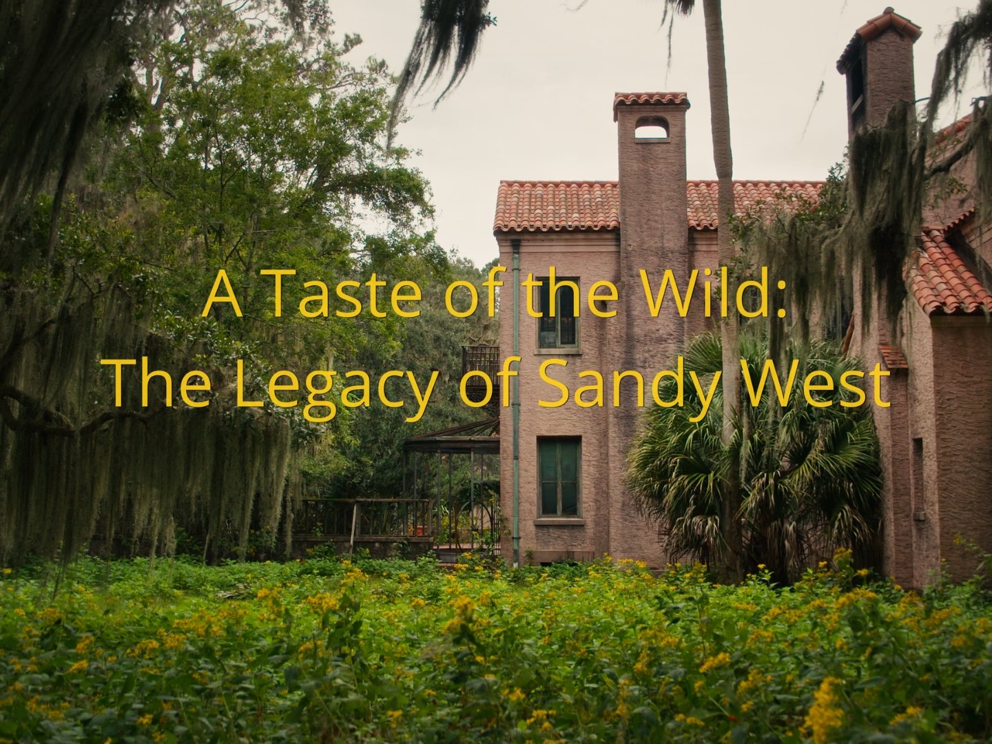 Jepson Center: "Film Screening of 'A Taste of the Wild: The Legacy of Sandy West' and Panel Discussion"
