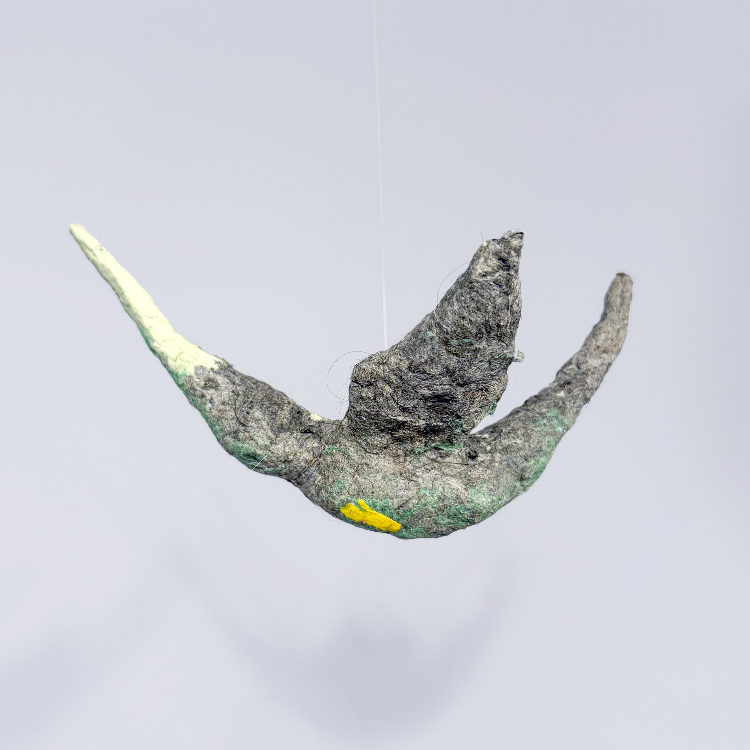 Cheryl Capezzuti,  Small Aves.  Dimensions vary, residential dryer lint from mixed sources. 