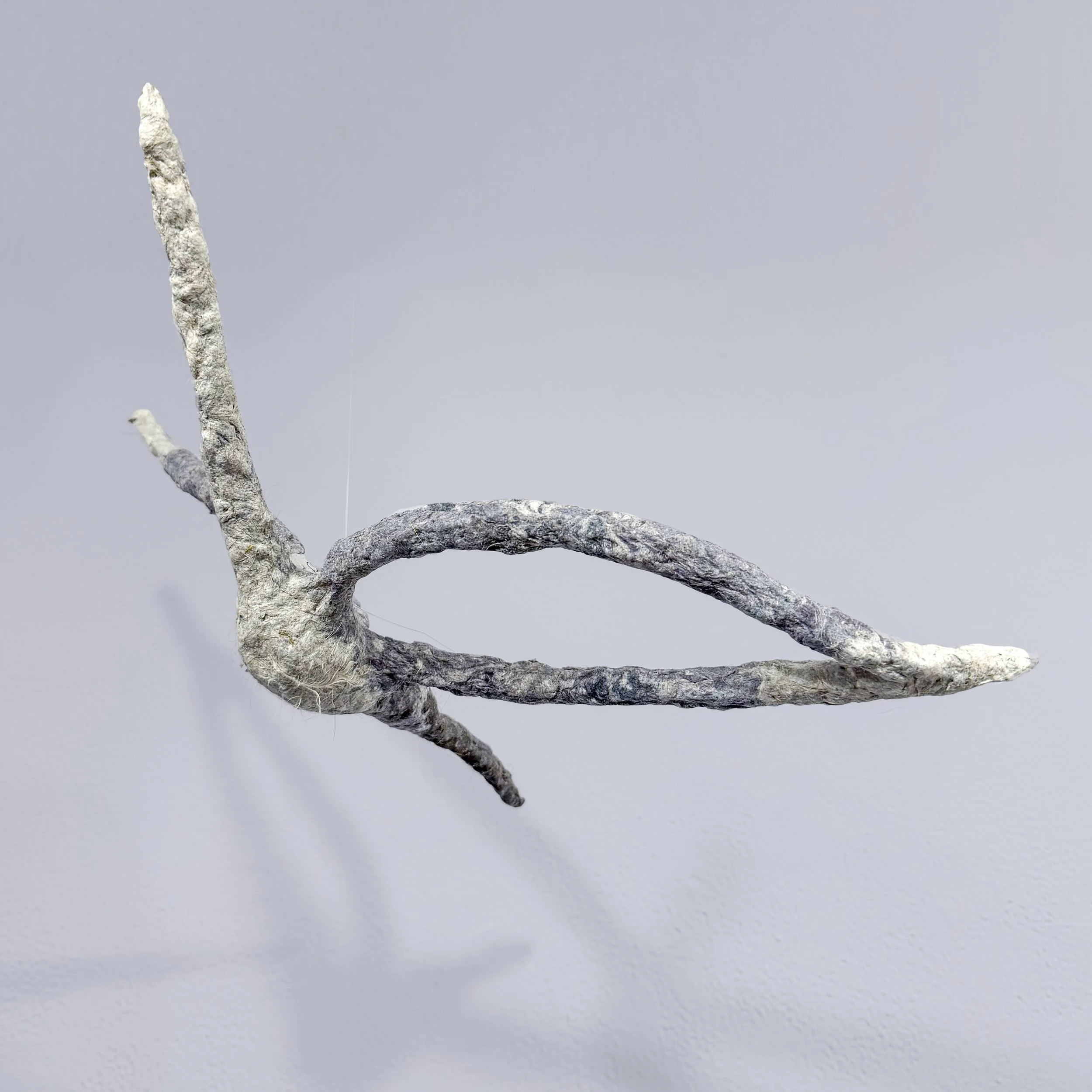  Cheryl Capezzuti,  Large Aves.  Various sizes, Residential Dryer Lint from Mixed Sources. 