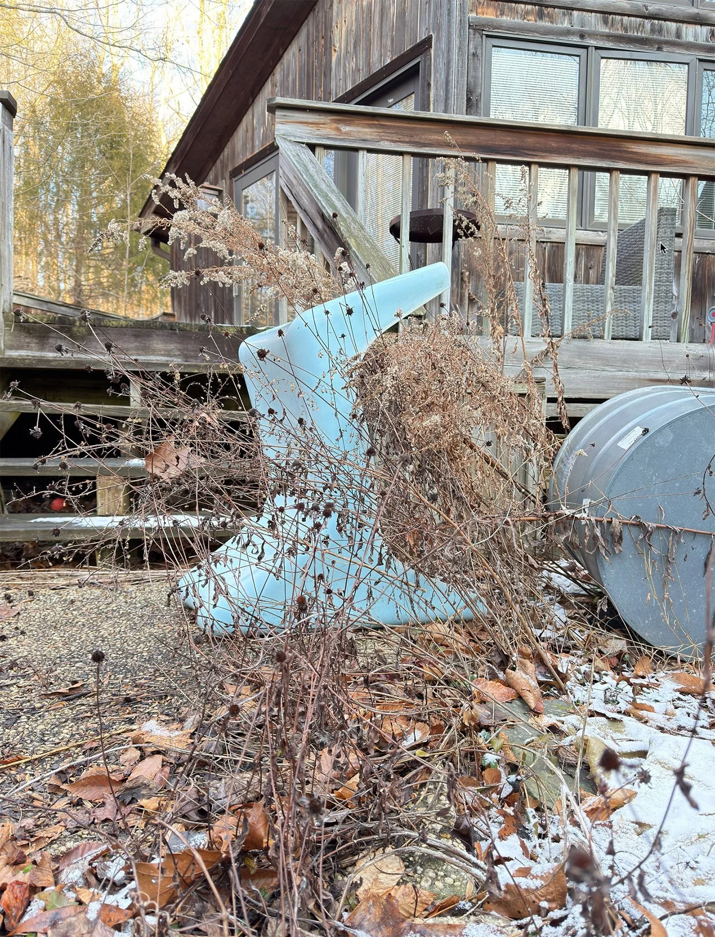  Anissa Mack,  January , 2026. 40 x 30 inches, inkjet print.  