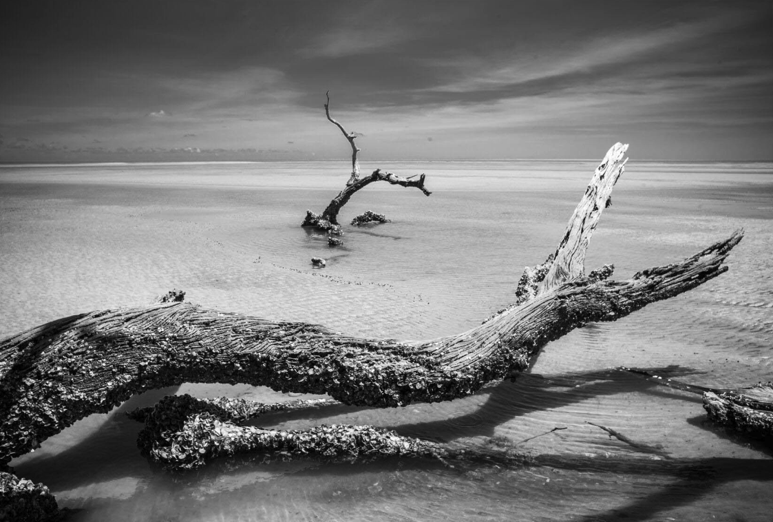 Photo by Imke Lass