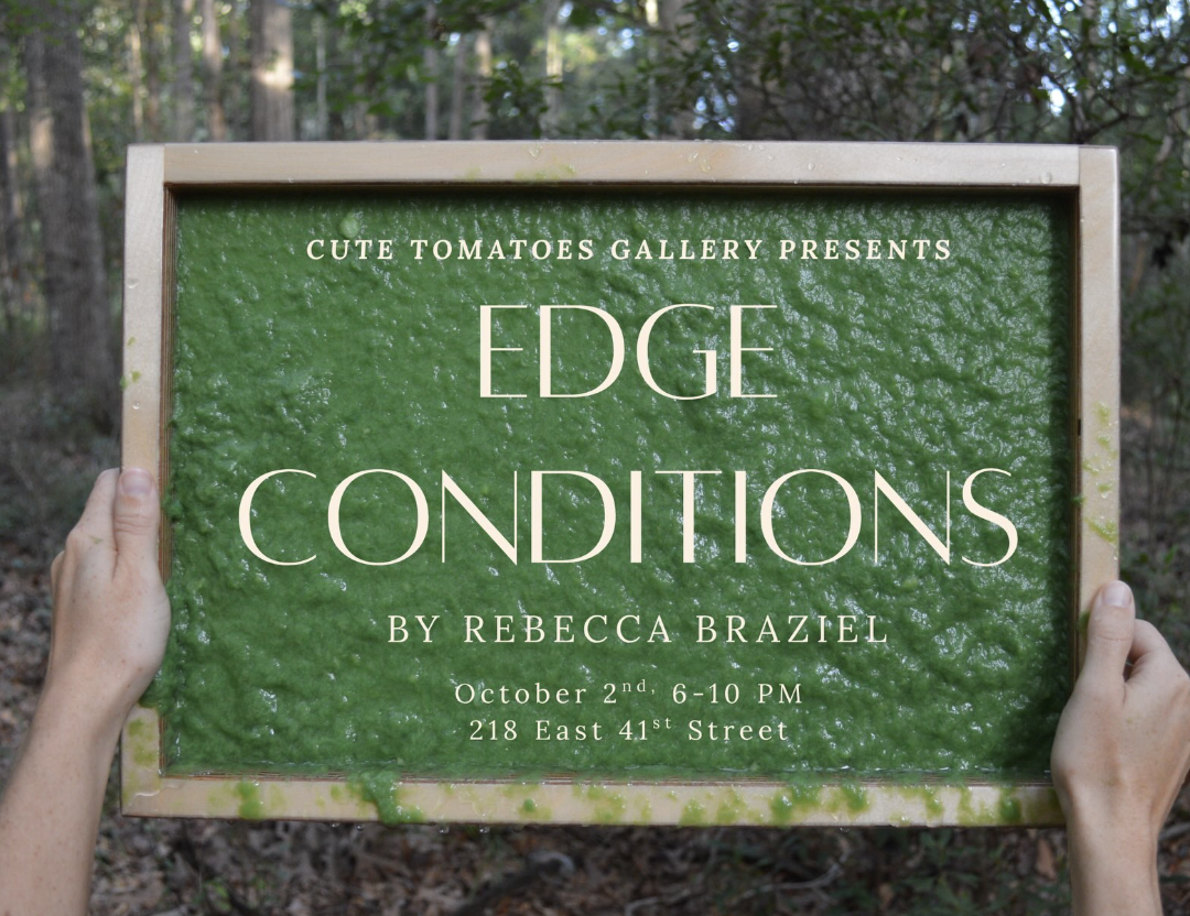 Cute Tomatoes Gallery: "Edge Conditions"