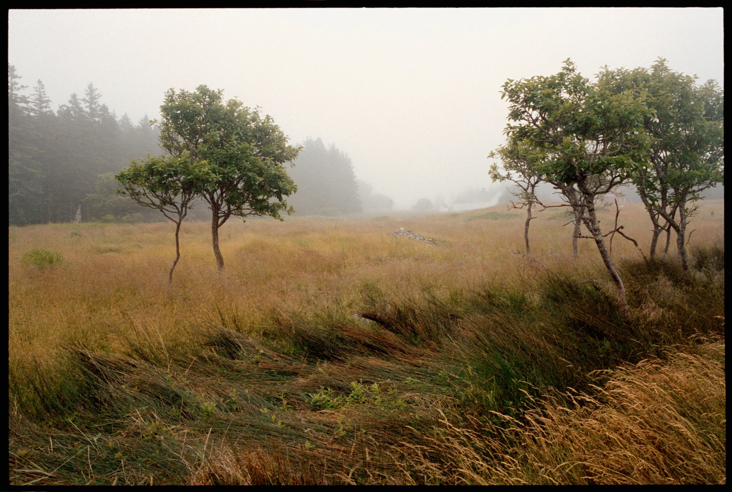 AnnaOttumNortheastHarbor035.jpg