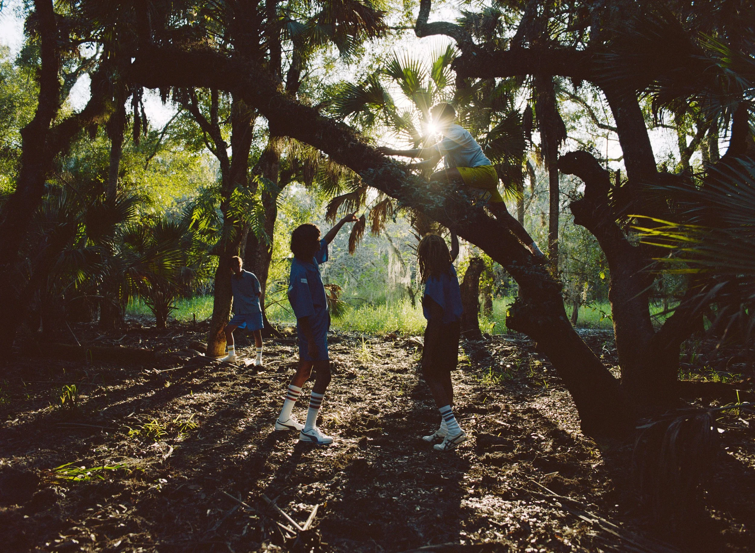 Josh Aronson, Eclipse, 2025 from Florida Boys.jpg