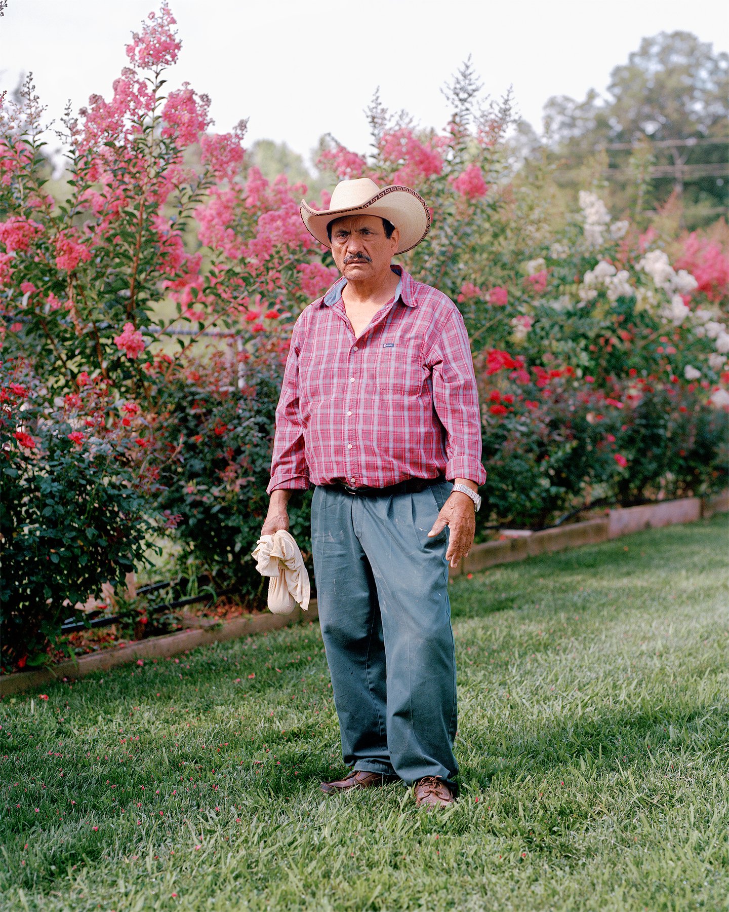 JoséIbarraRizo Rose Grower, 2021 (HIGH 8x10 300)_15 MB.jpg