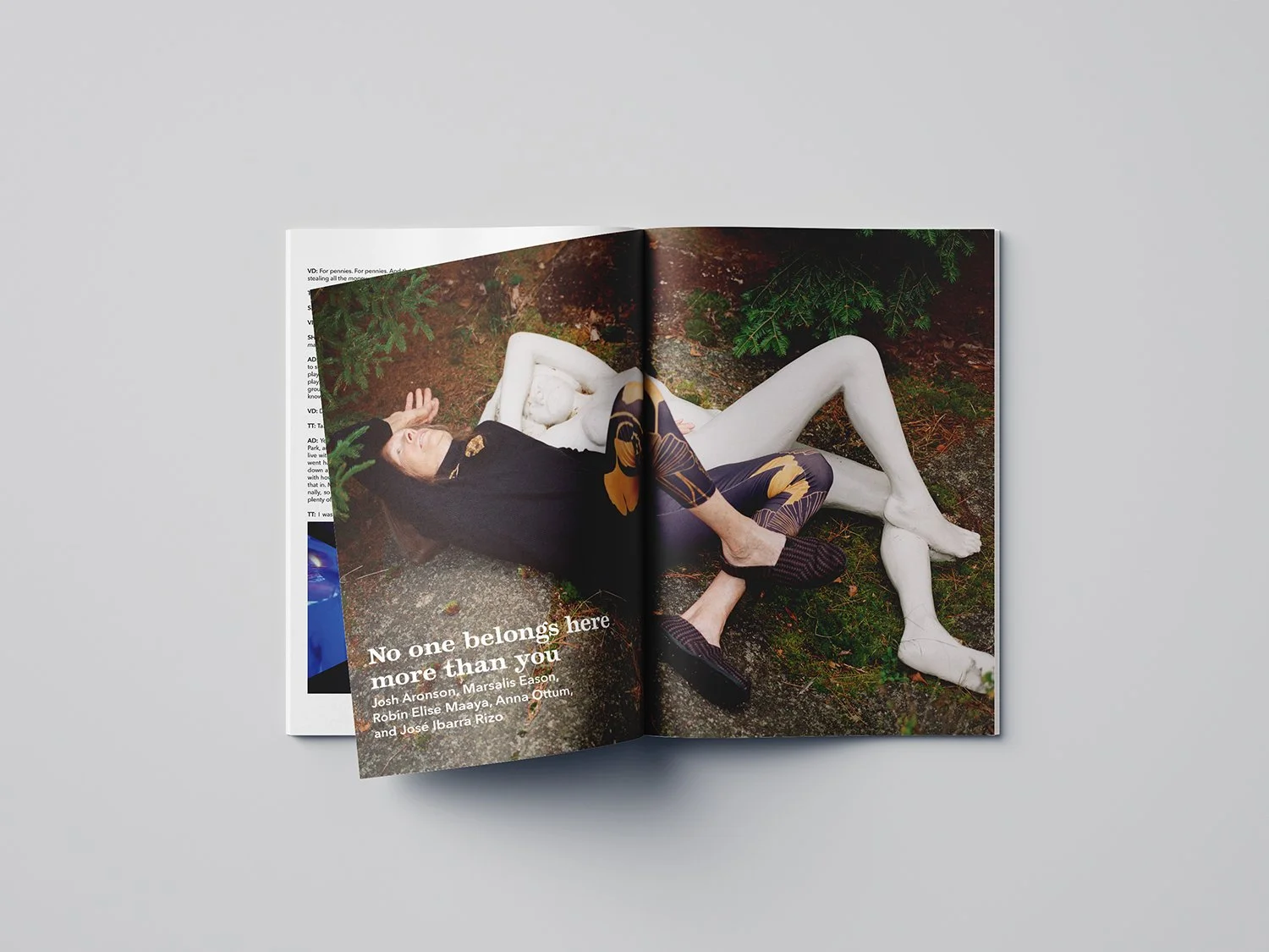 V5N2_Mockup_Morehtanyou1_web.jpg