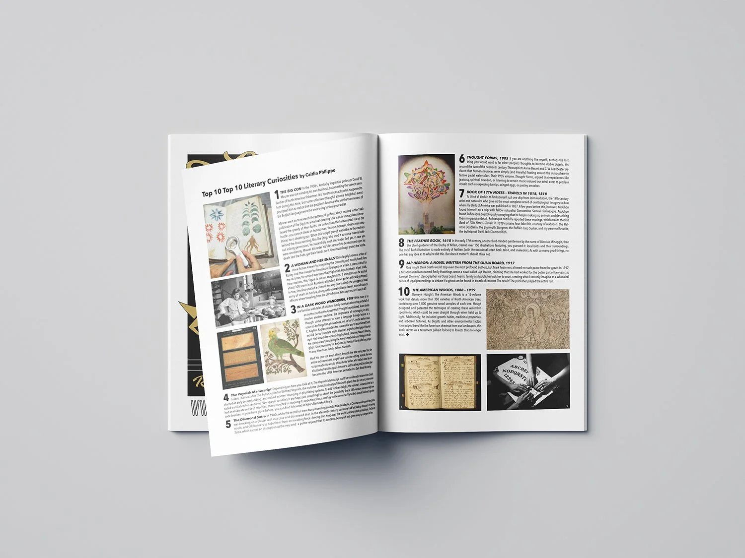 V5N2_Mockup_Top10_web.jpg