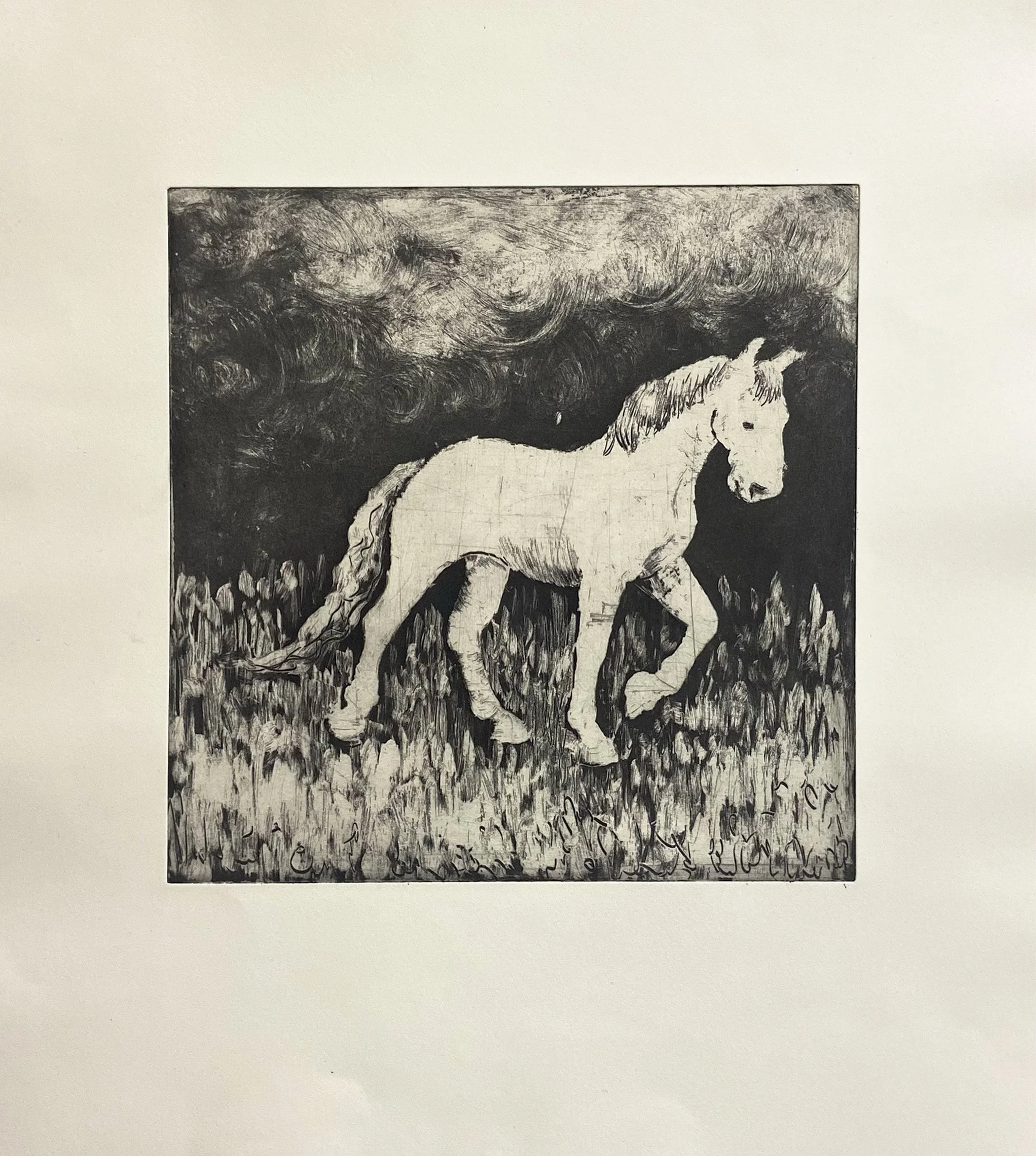 3B7F129E-EE66-4937-9D7D-E5D457CBC18C - Ella Stouse.jpeg