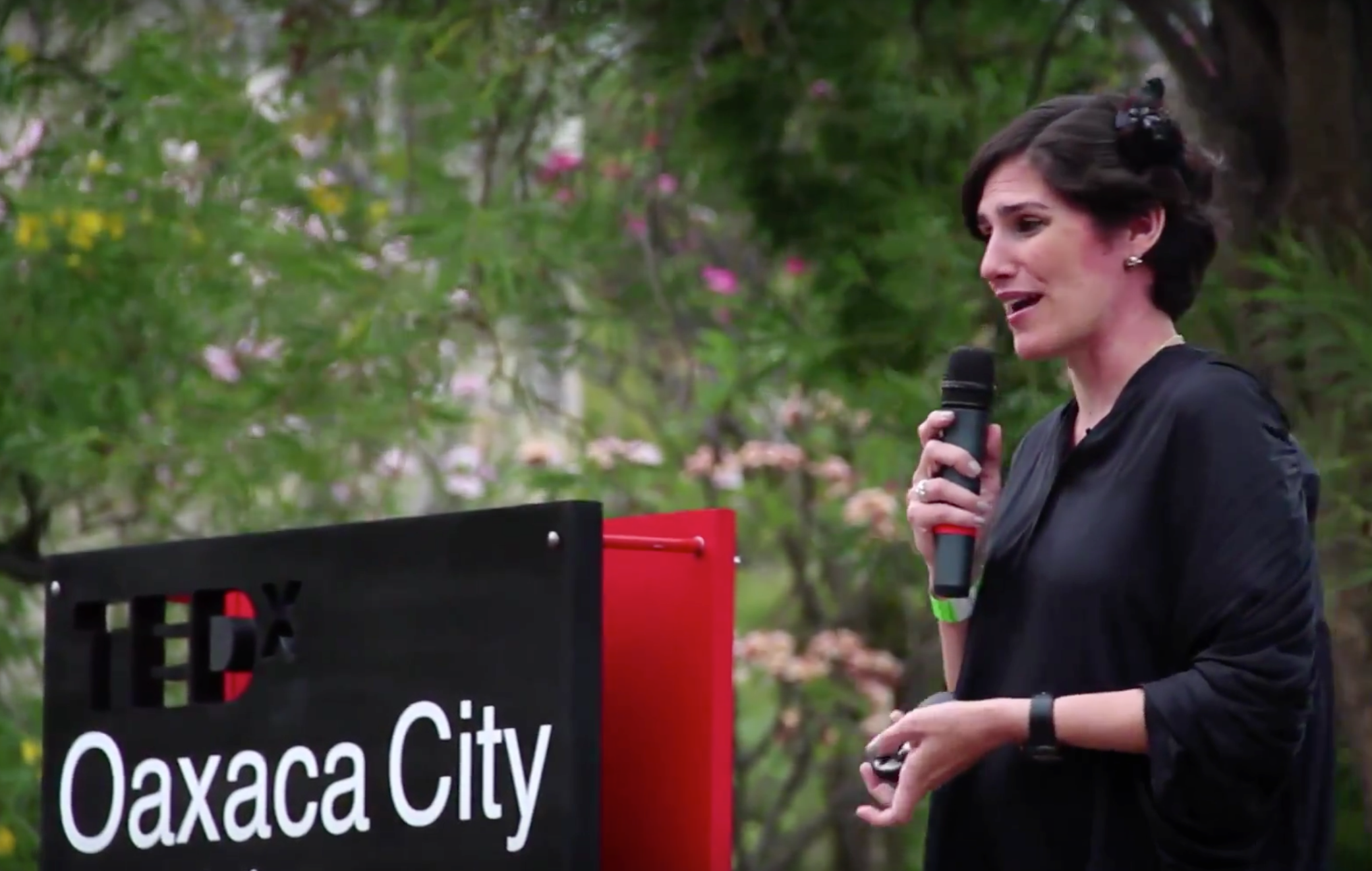 TEDx Oaxaca Event