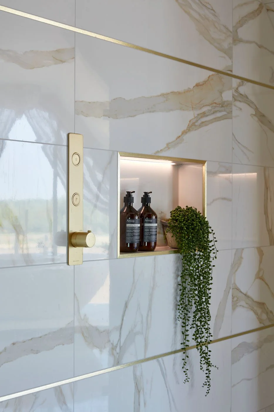 Salcome d2 010.jpg