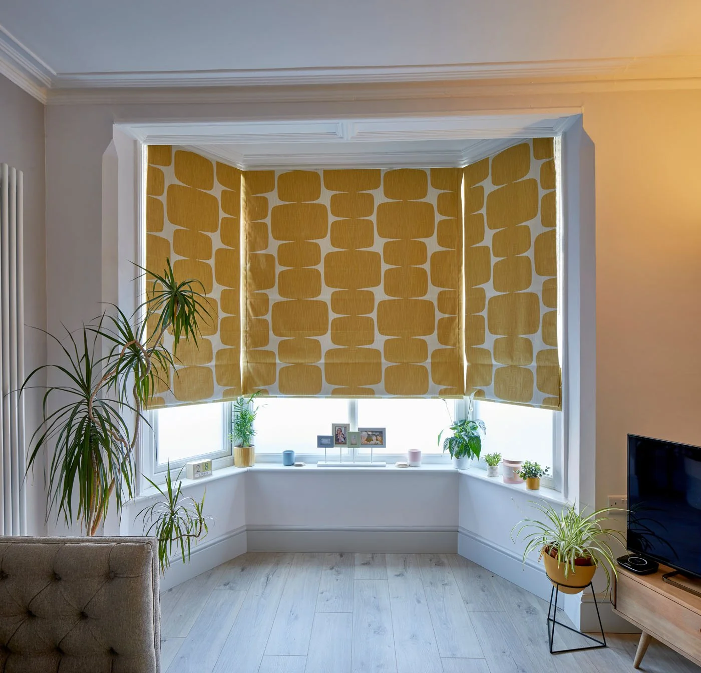 IMG_3941.jpg