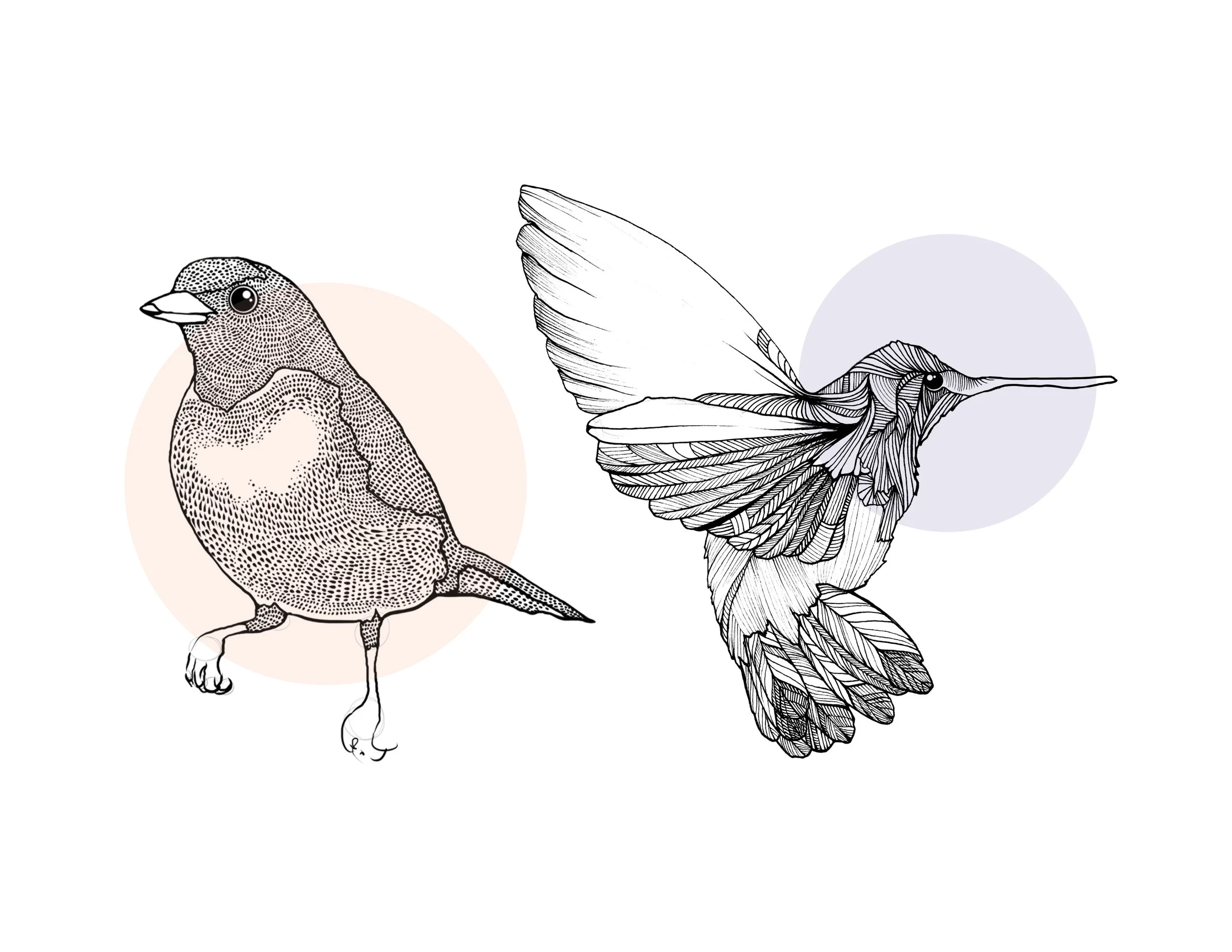 Illustration4.jpg