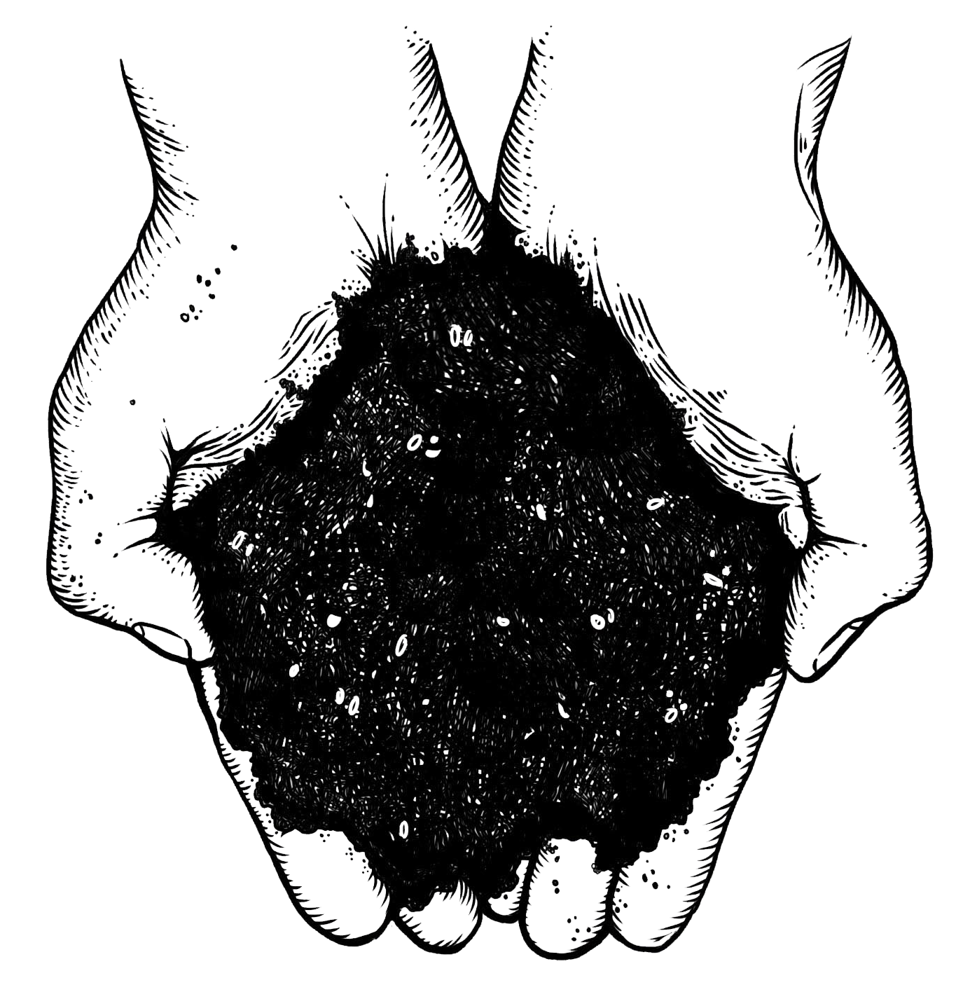 Soil.png