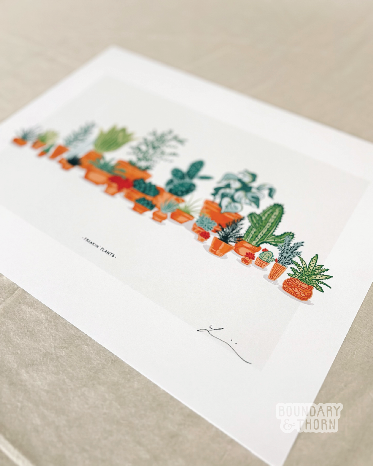 BT_PHOTOS FOR WEB_PNGS_150 DPI-05.png