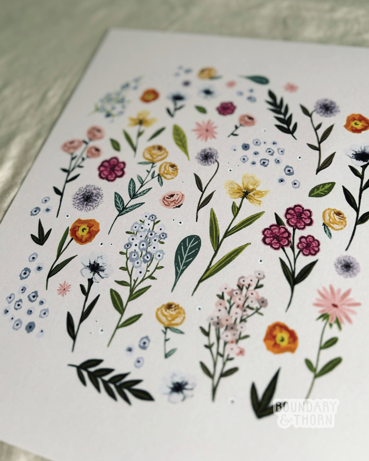 BT_PHOTOS FOR WEB_PNGS_300 DPI-08.png