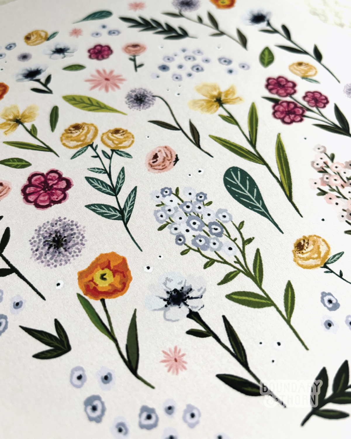 BT_PHOTOS FOR WEB_PNGS_300 DPI-07.png