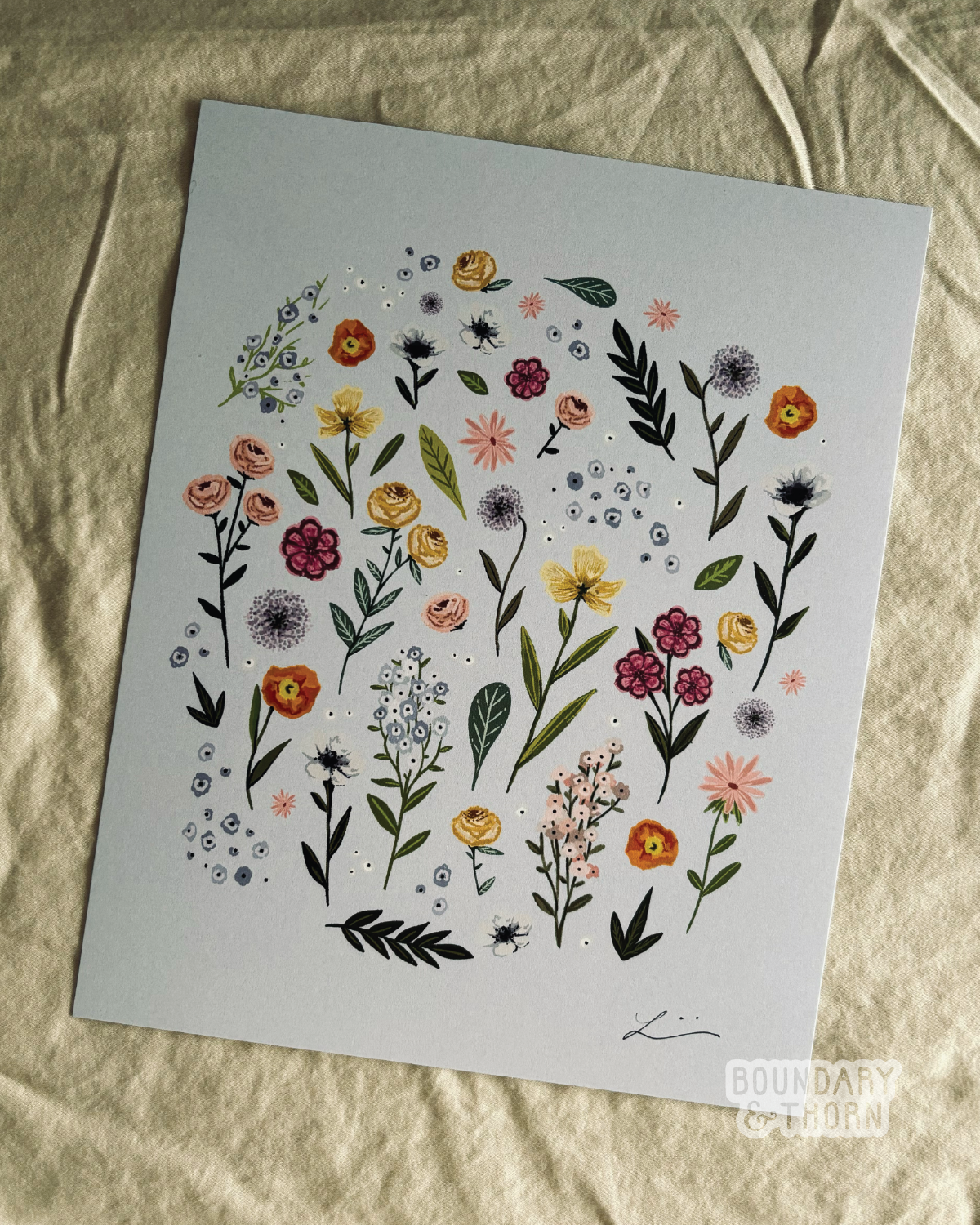 BT_PHOTOS FOR WEB_PNGS_300 DPI-01.png