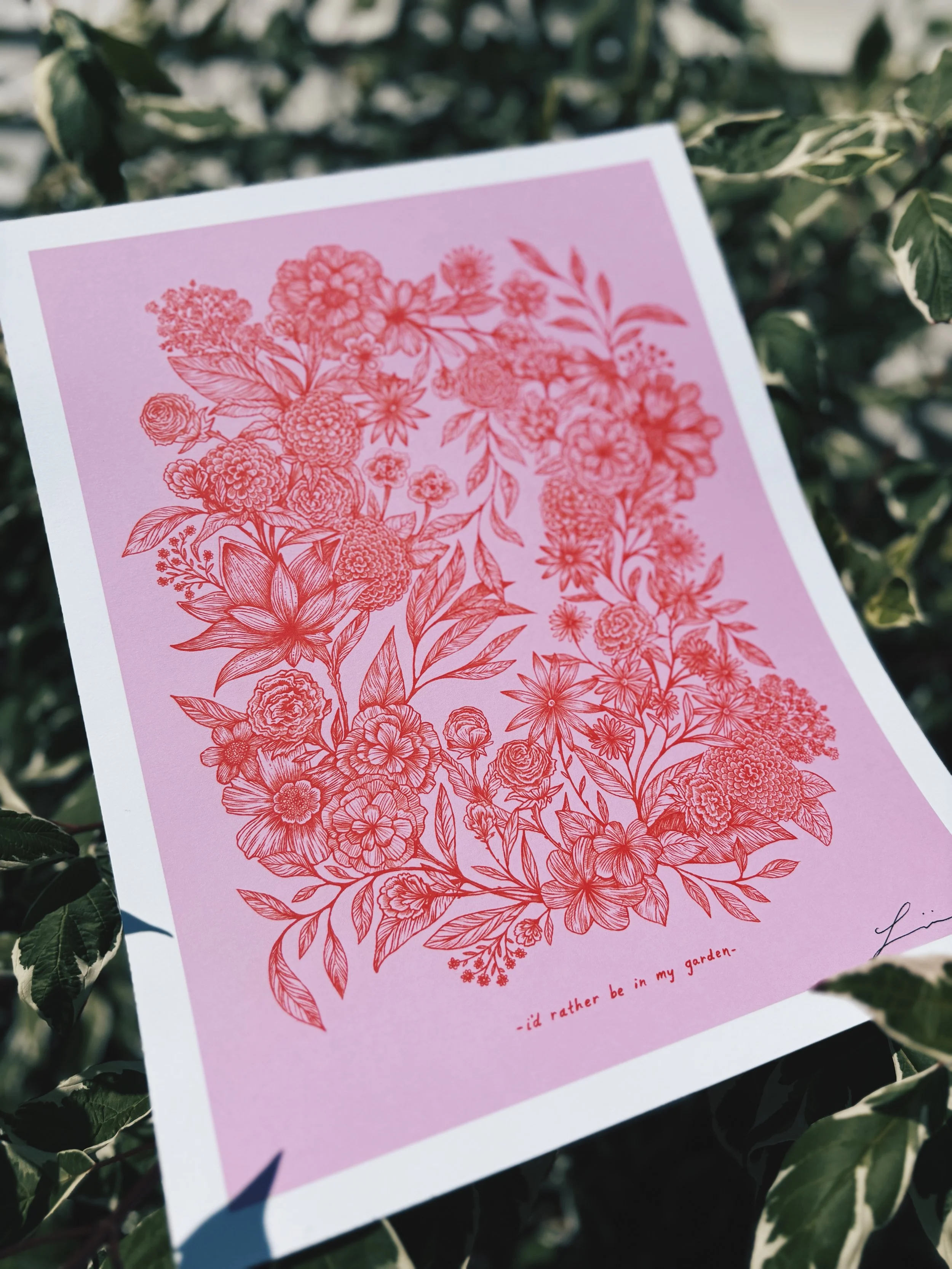 FullSizeRender_VSCO 12.JPG