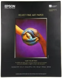 VELVER FINE ART.jpg