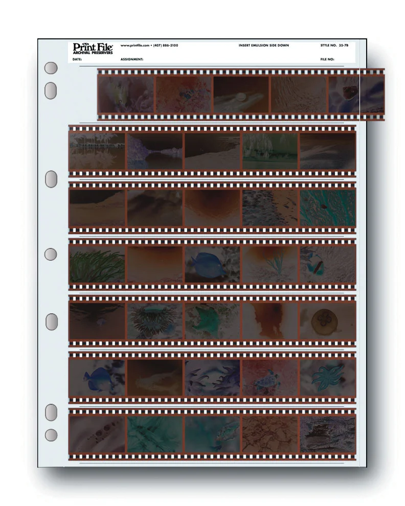 PRINTFILE35.jpg