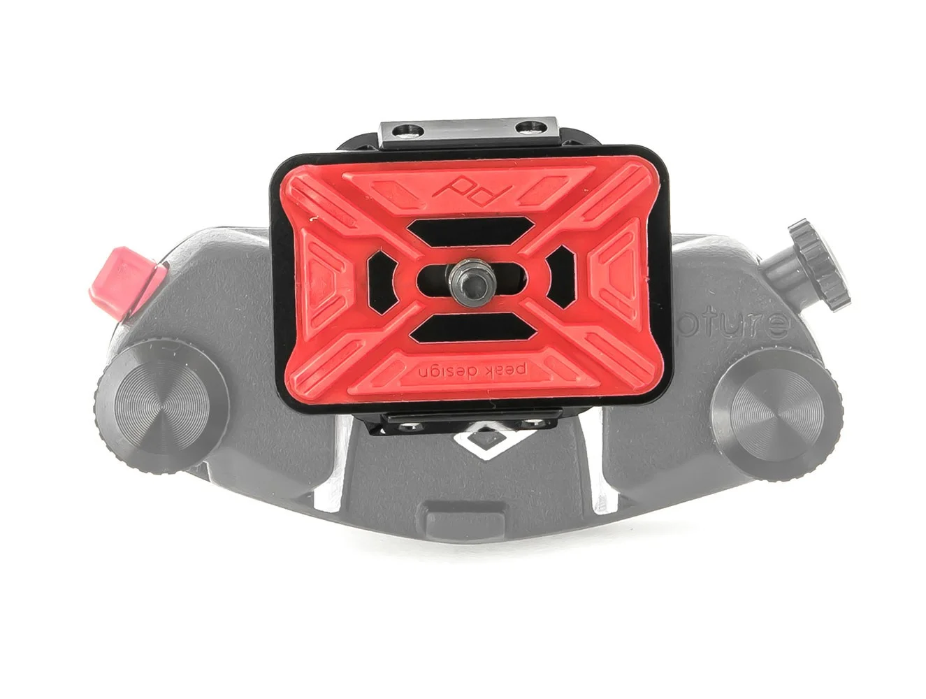 plpp-2.jpg