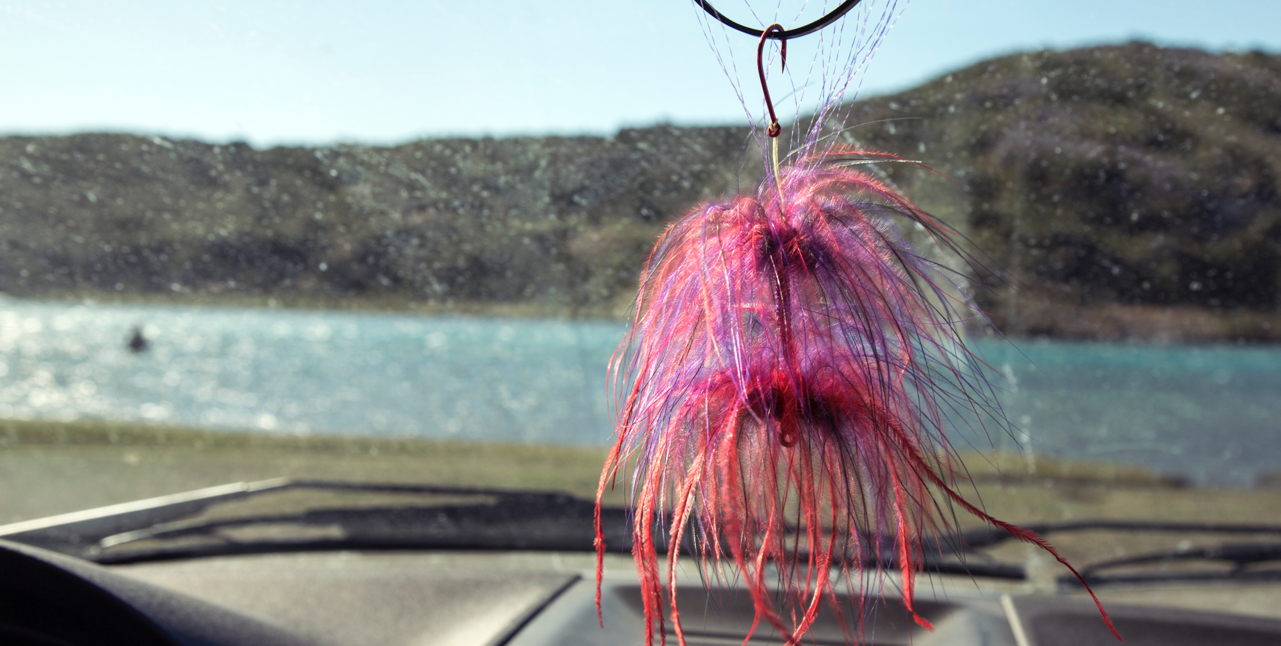 Salmon's in the Air