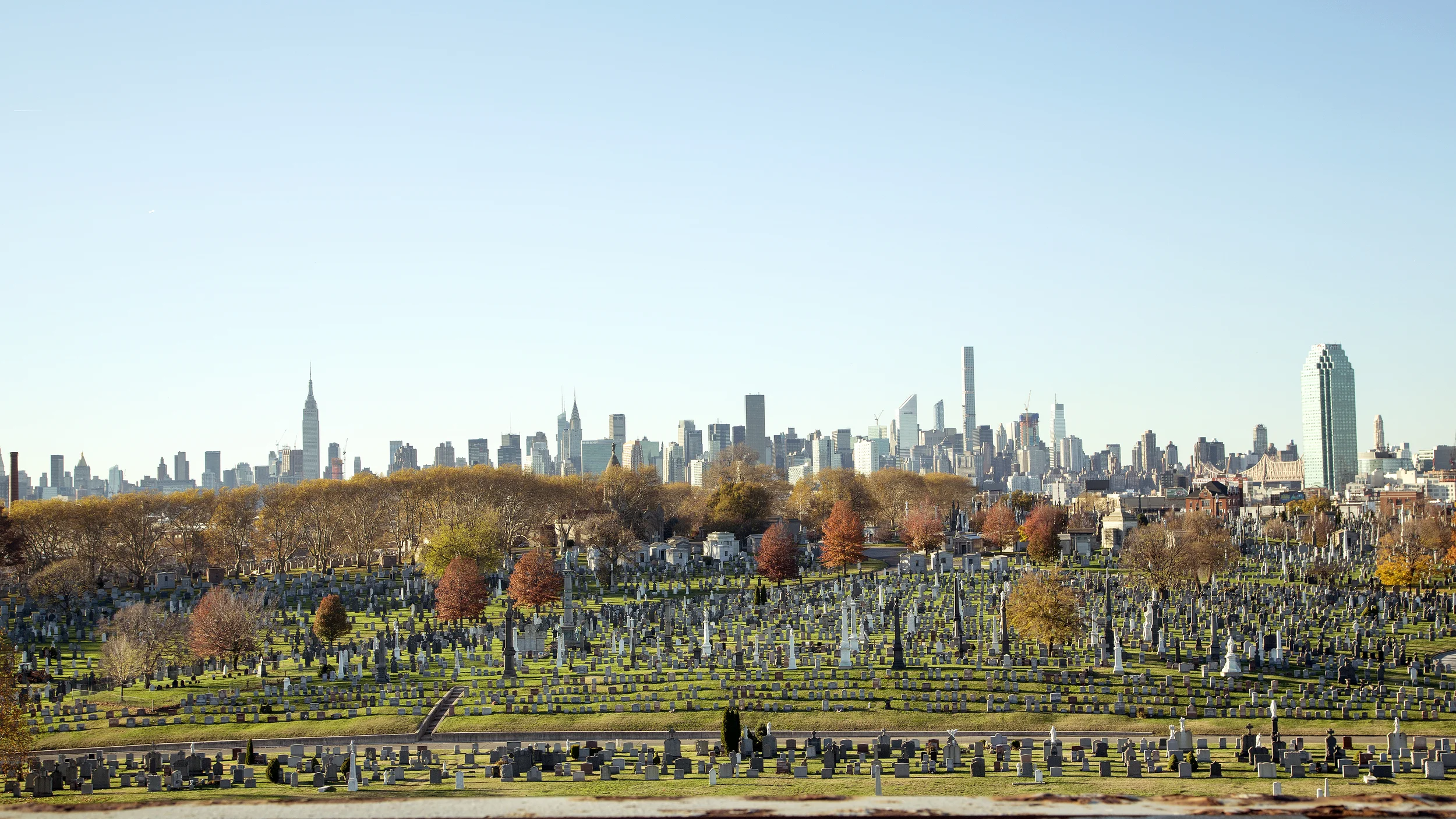 DOWN TO EARTH. (Copy)